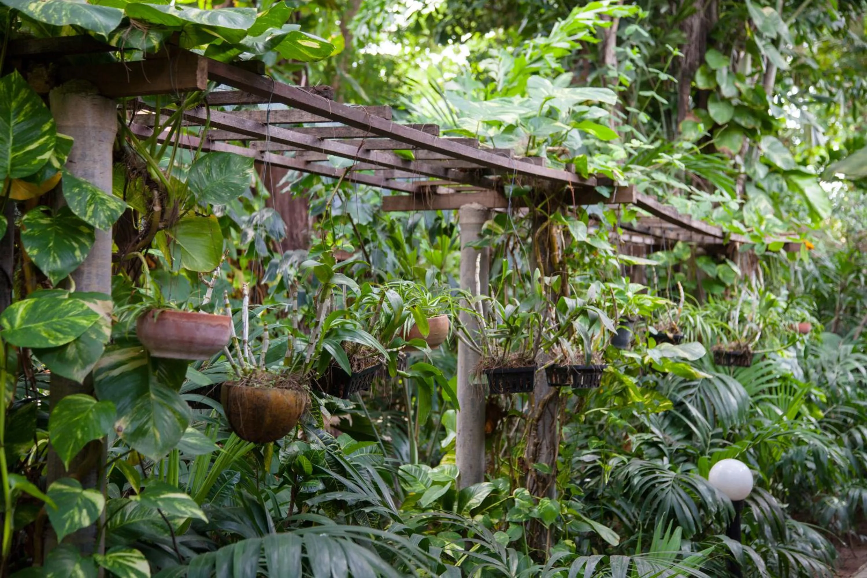 Garden in Tropica Bungalow Beach Hotel