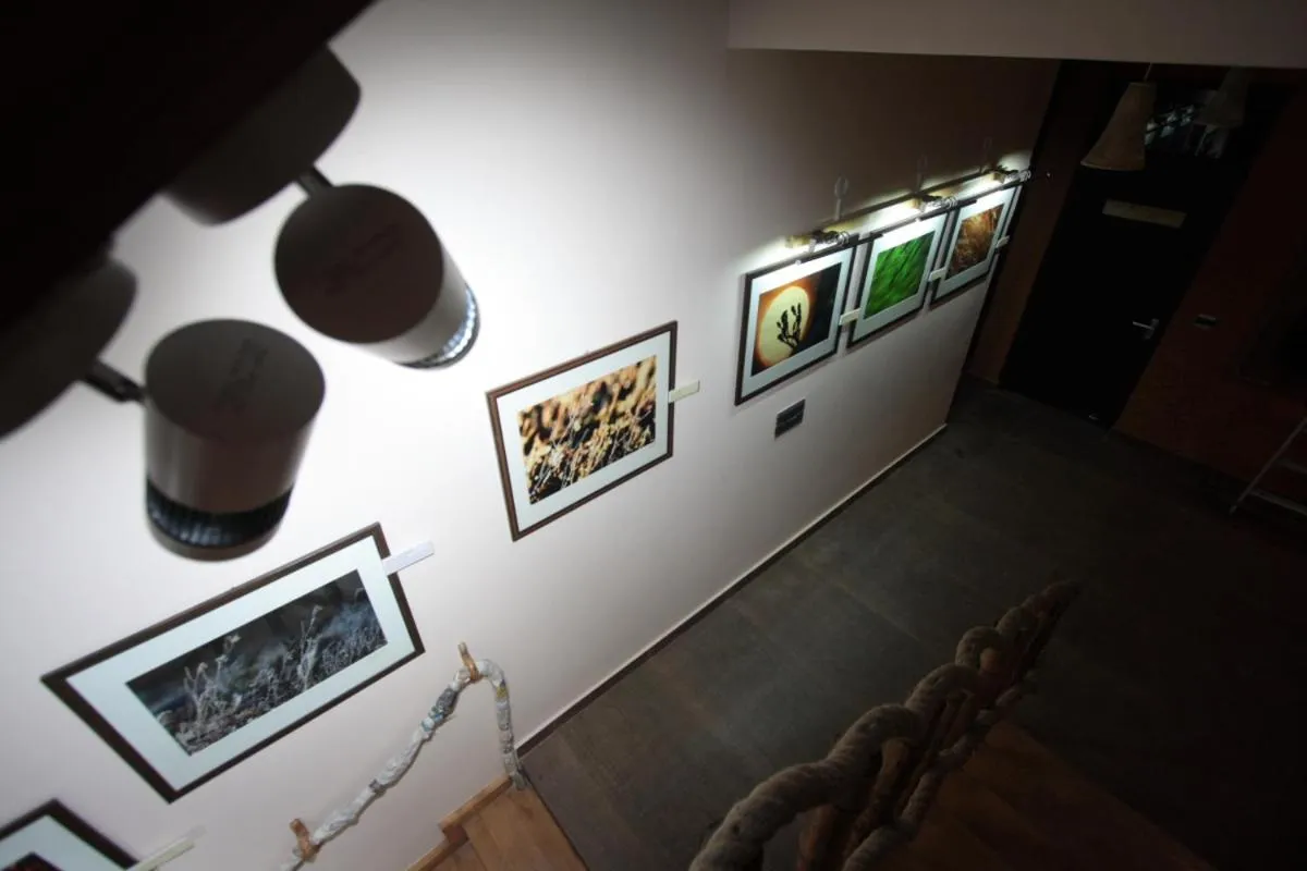 Property building in The Divine Hima