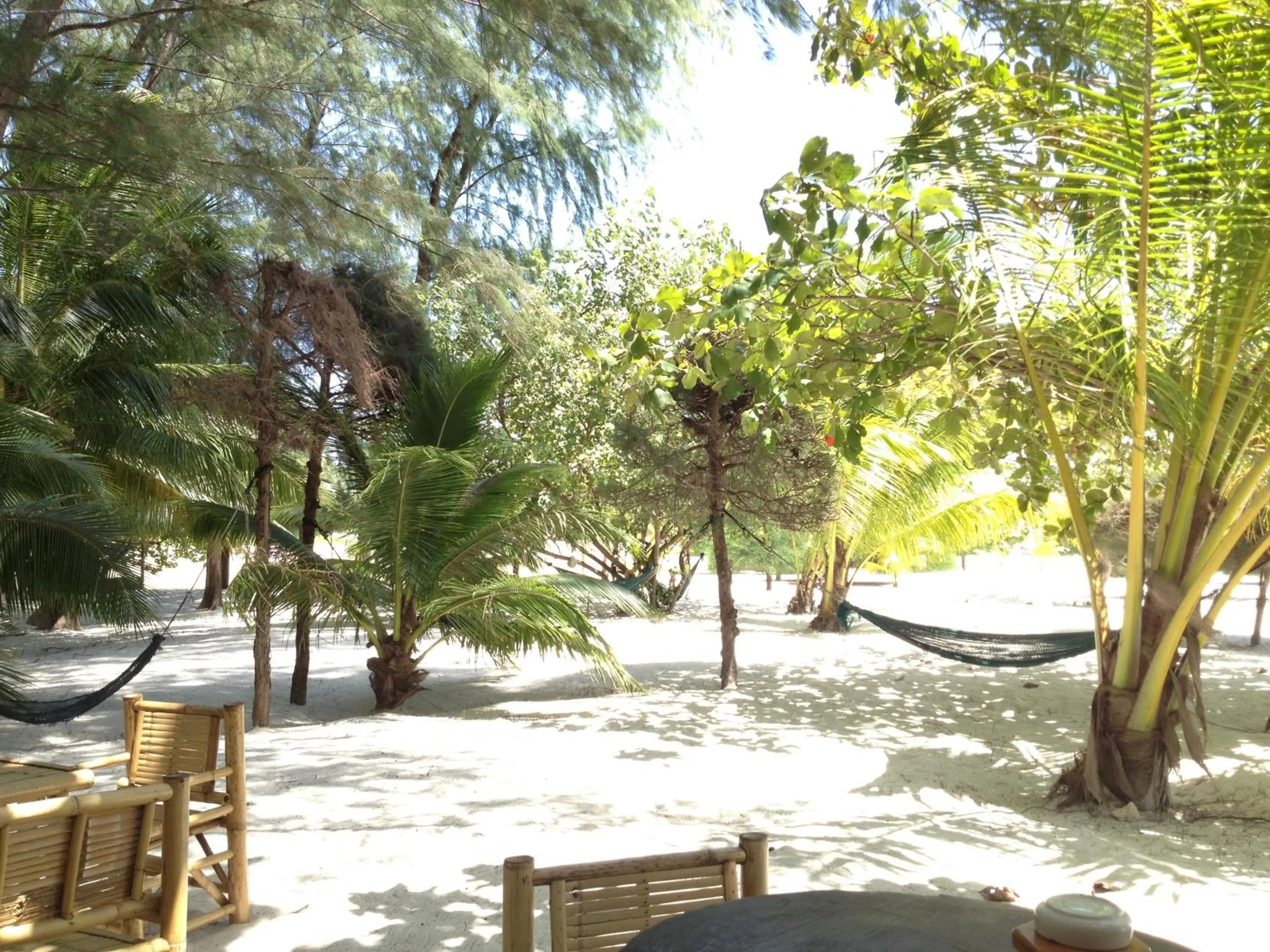 Beach in Malibu Beach Bungalows