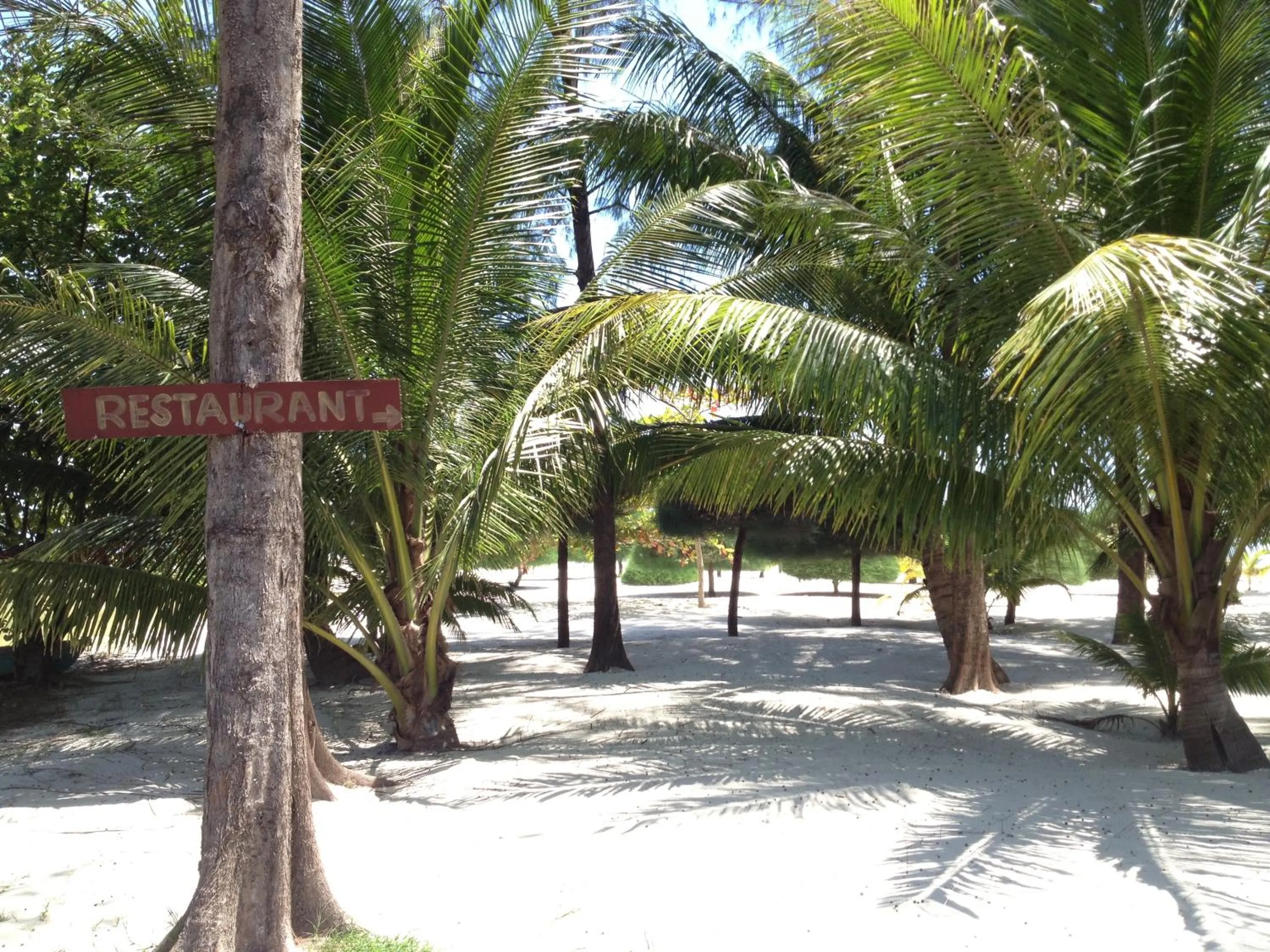 Beach in Malibu Beach Bungalows