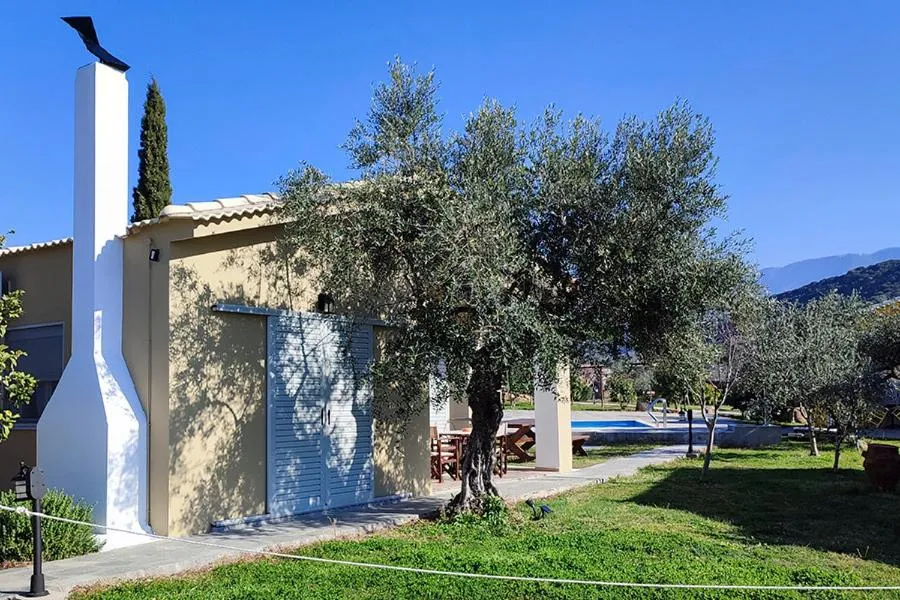 Socrates Organic Village - Wild Olive