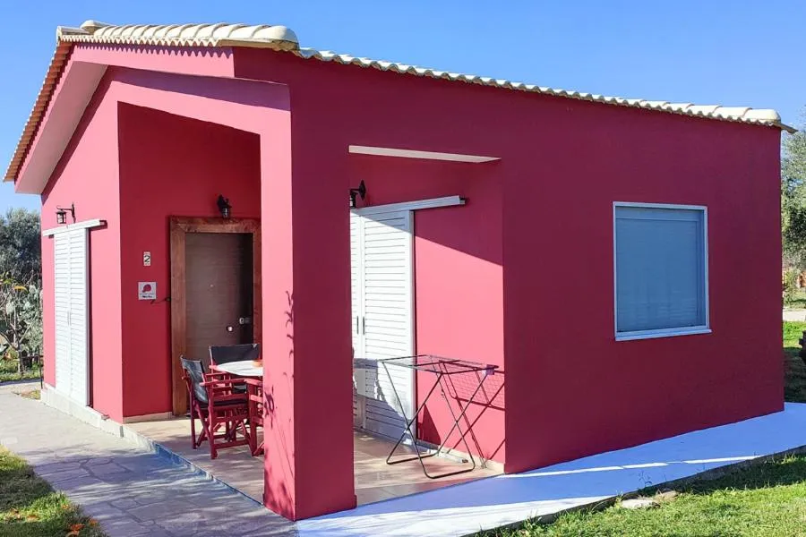 Socrates Organic Village - Wild Olive