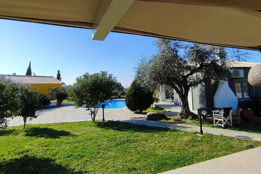 Socrates Organic Village - Wild Olive