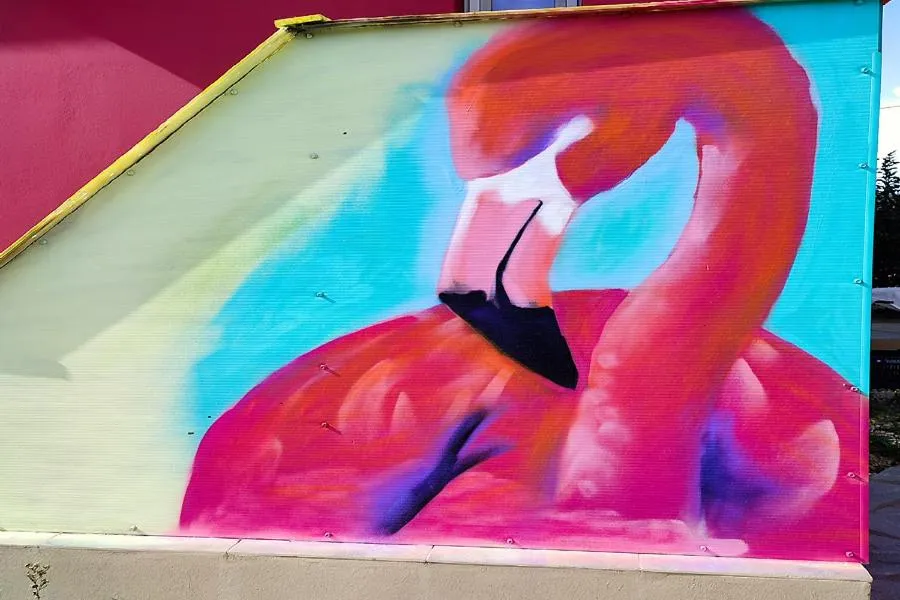 Socrates Organic Village - Wild Olive