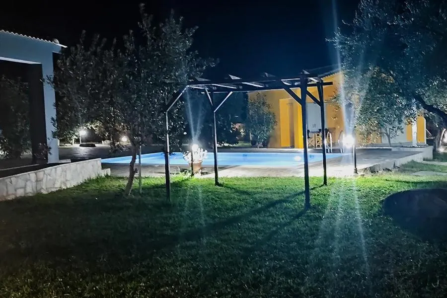 Socrates Organic Village - Wild Olive