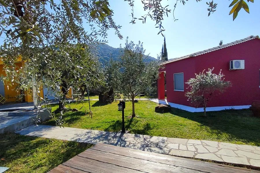 Socrates Organic Village - Wild Olive