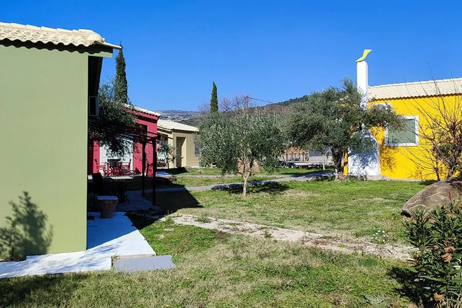 Socrates Organic Village - Wild Olive