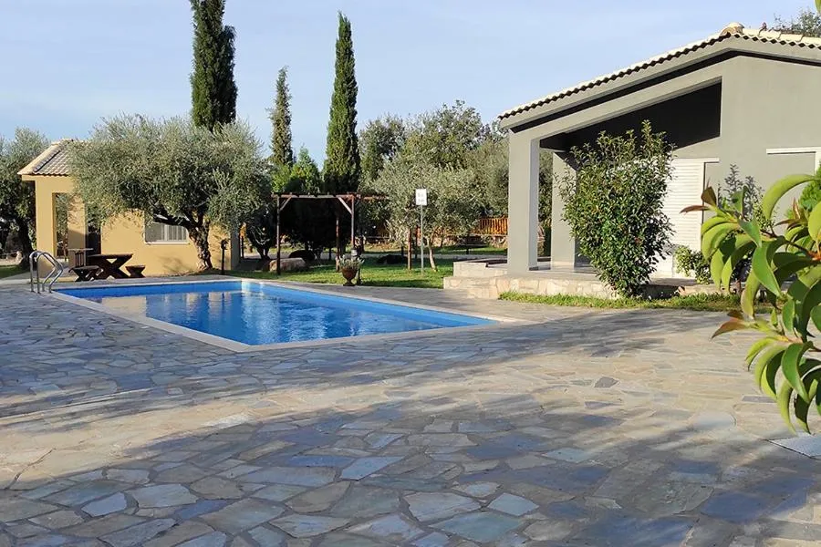 Socrates Organic Village - Wild Olive