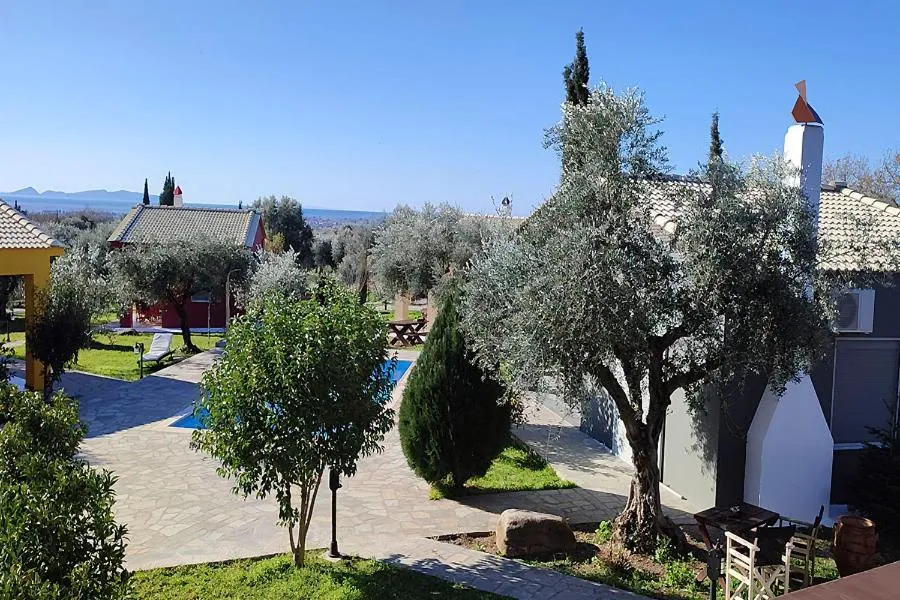 Socrates Organic Village - Wild Olive