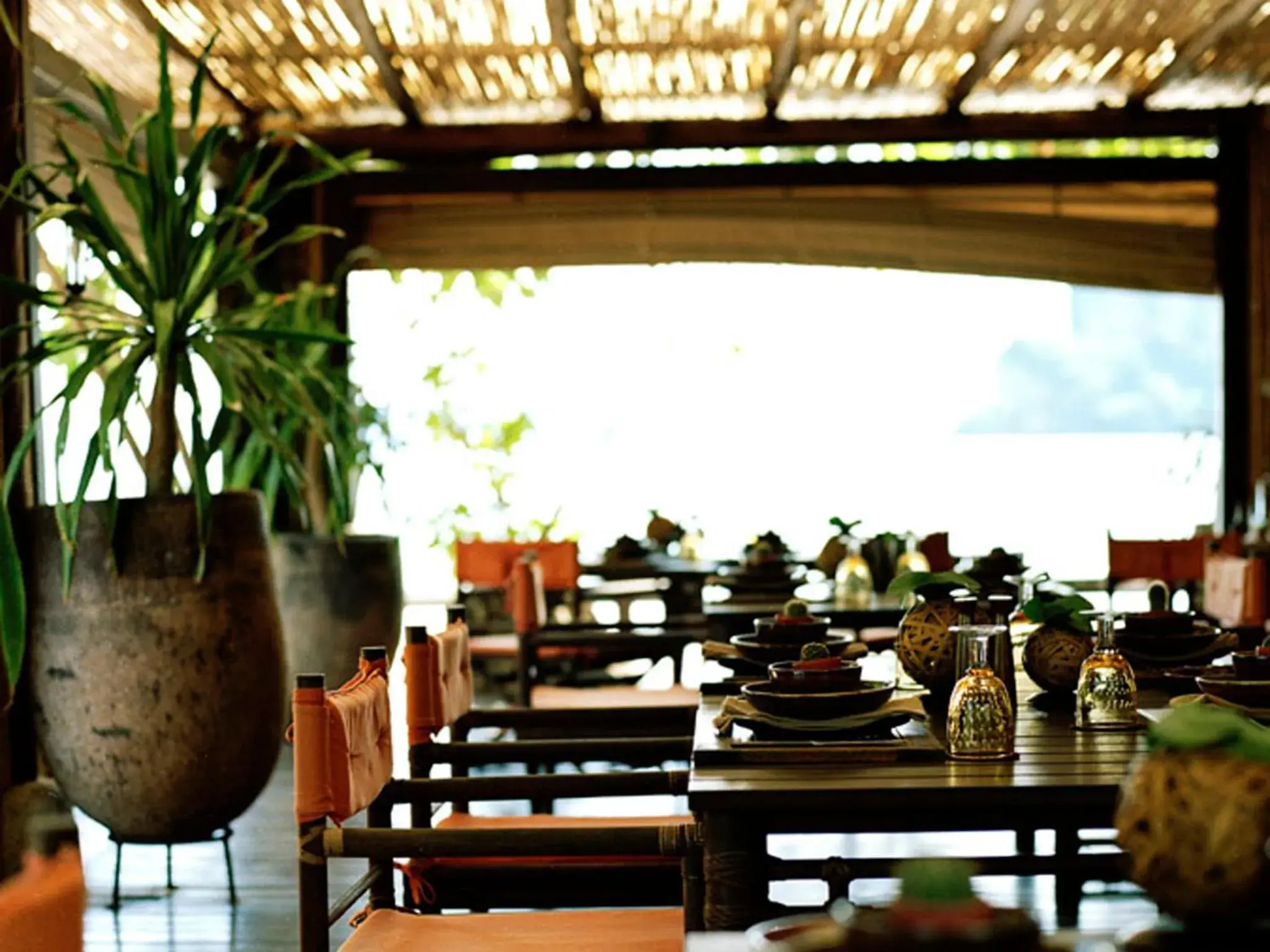 Restaurant/places to eat in Rayavadee Restaurant/places to eat in Rayavadee