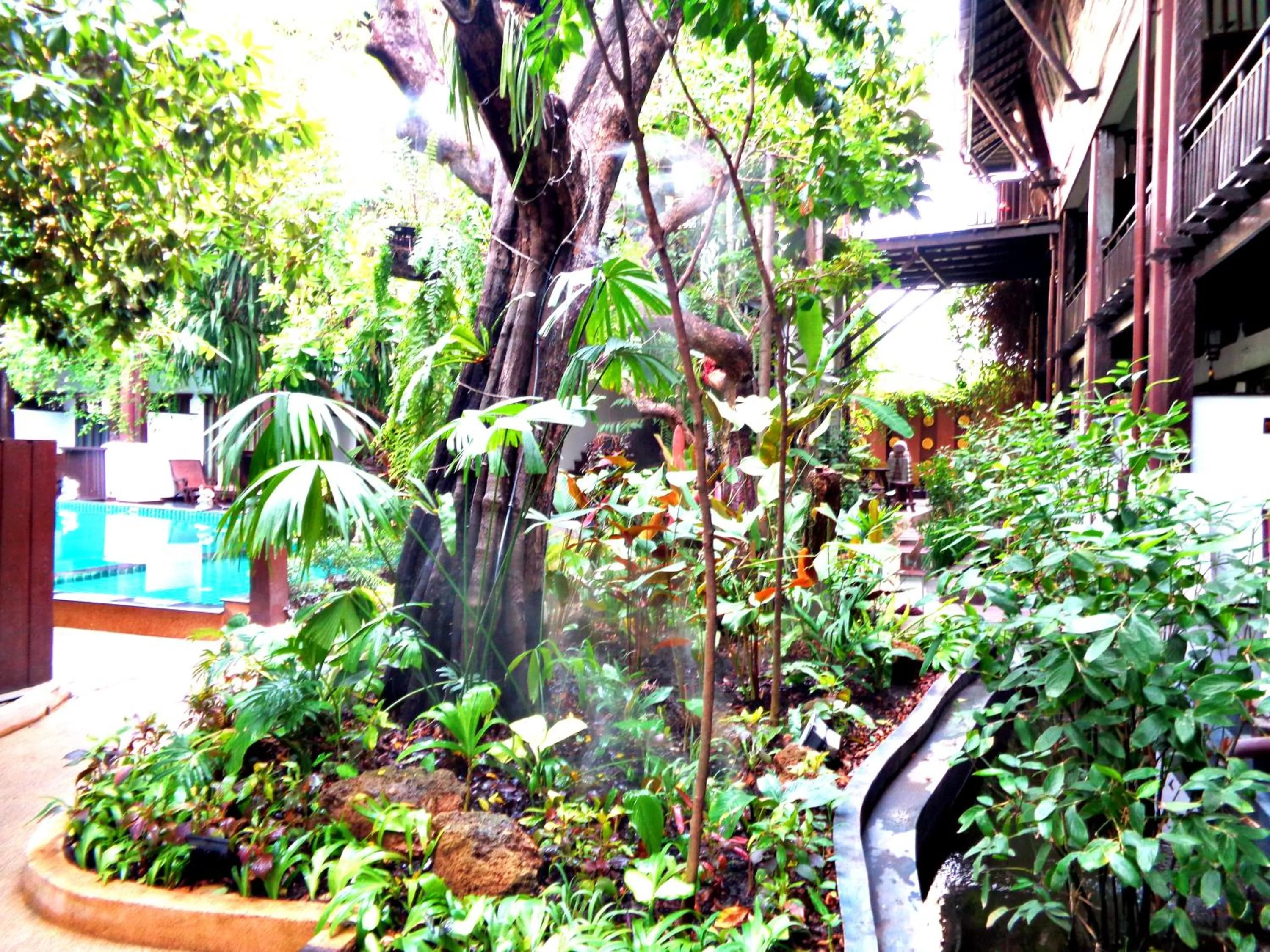 Garden in Yantarasri Resort