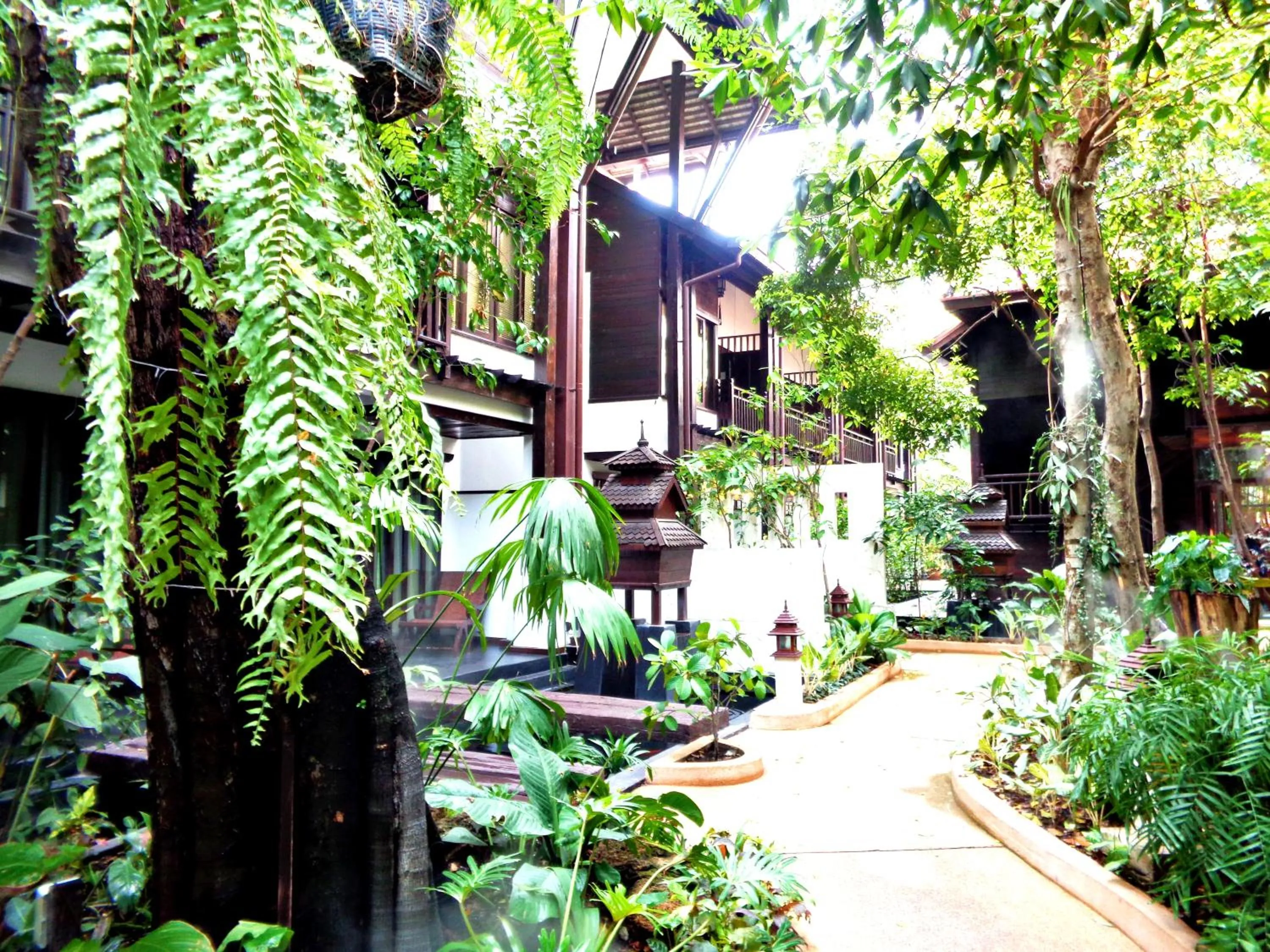 Garden in Yantarasri Resort