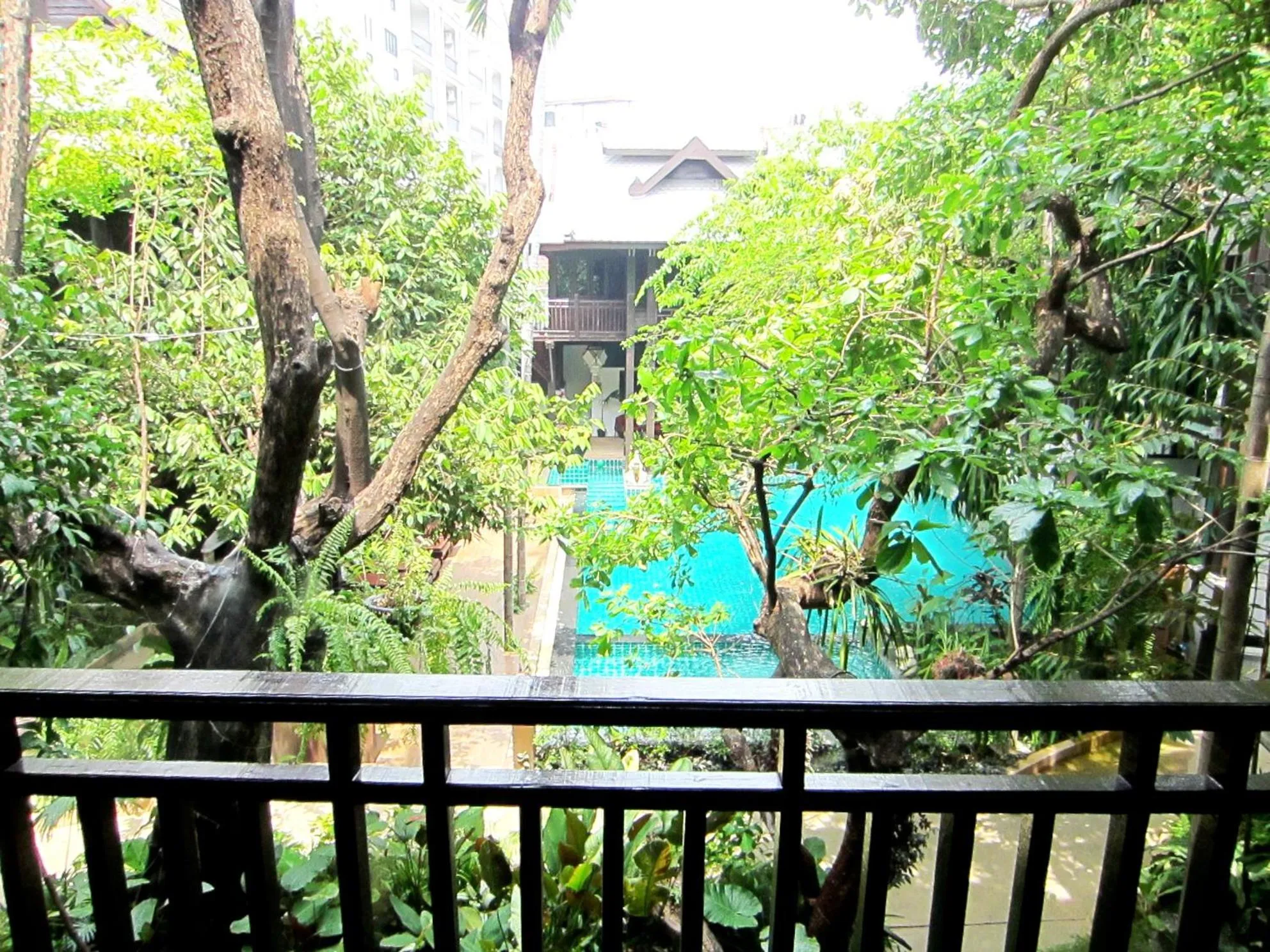 Natural landscape in Yantarasri Resort