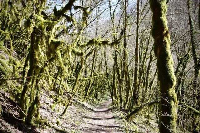 Hiking in Goute la vie