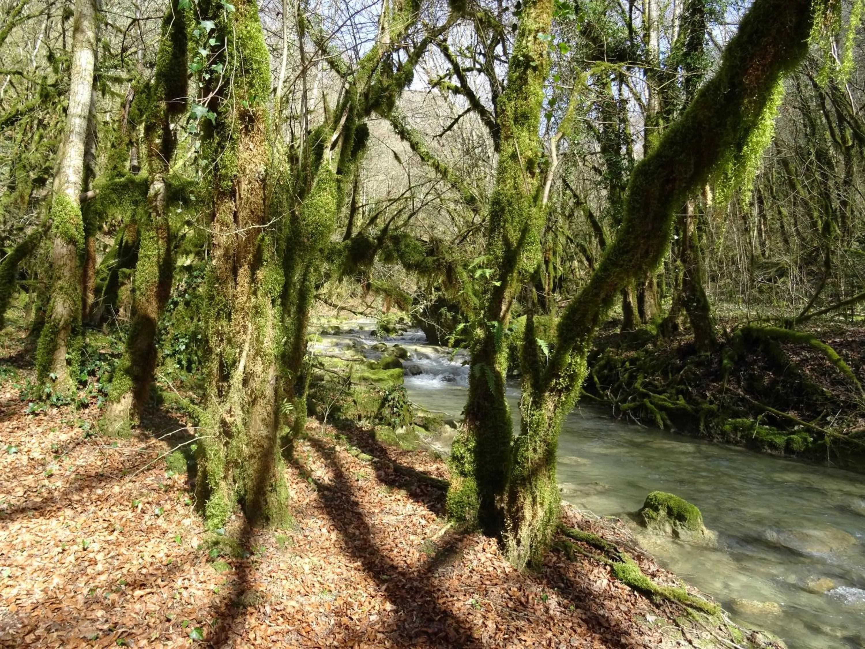 Hiking in Goute la vie