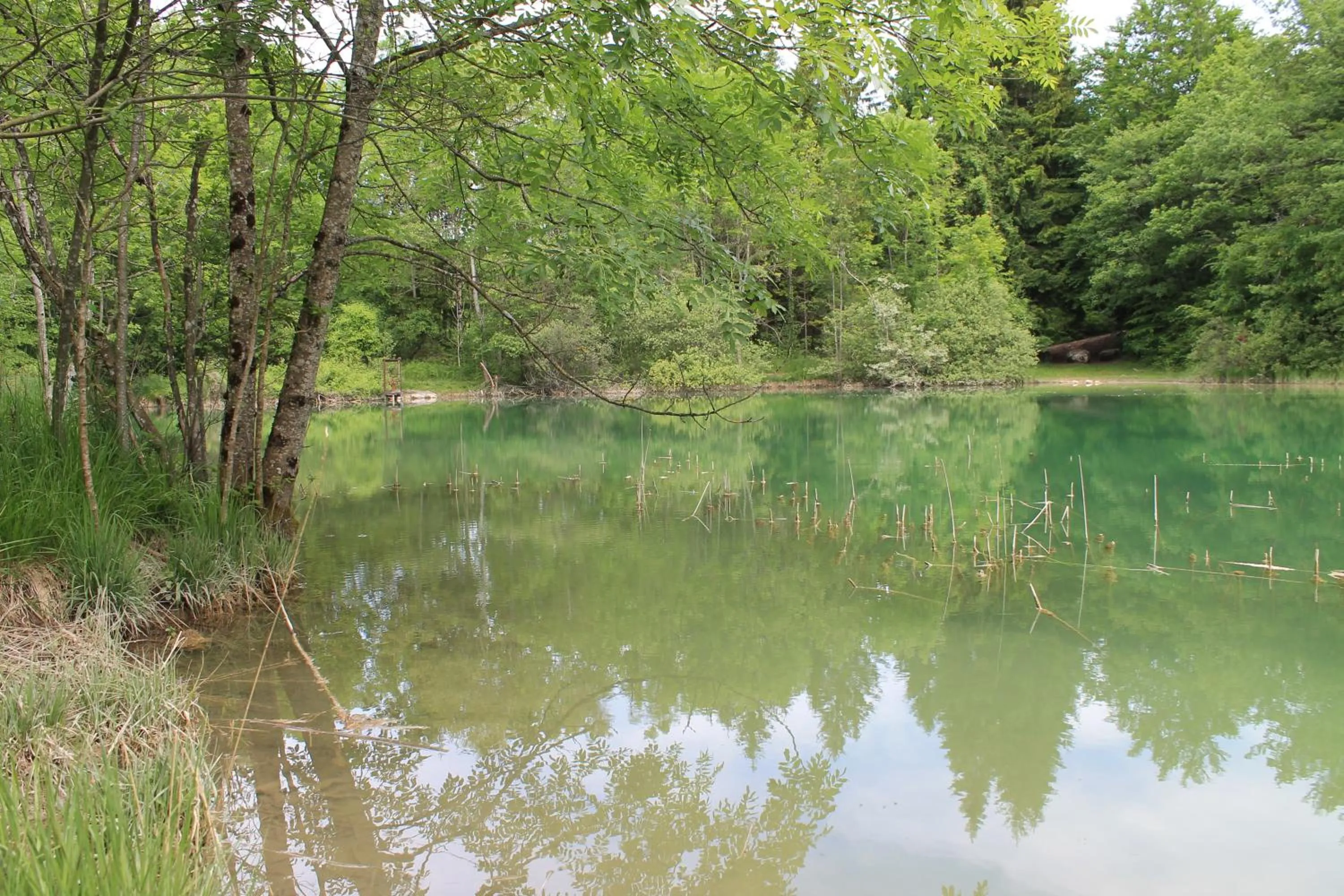 Natural landscape in Goute la vie