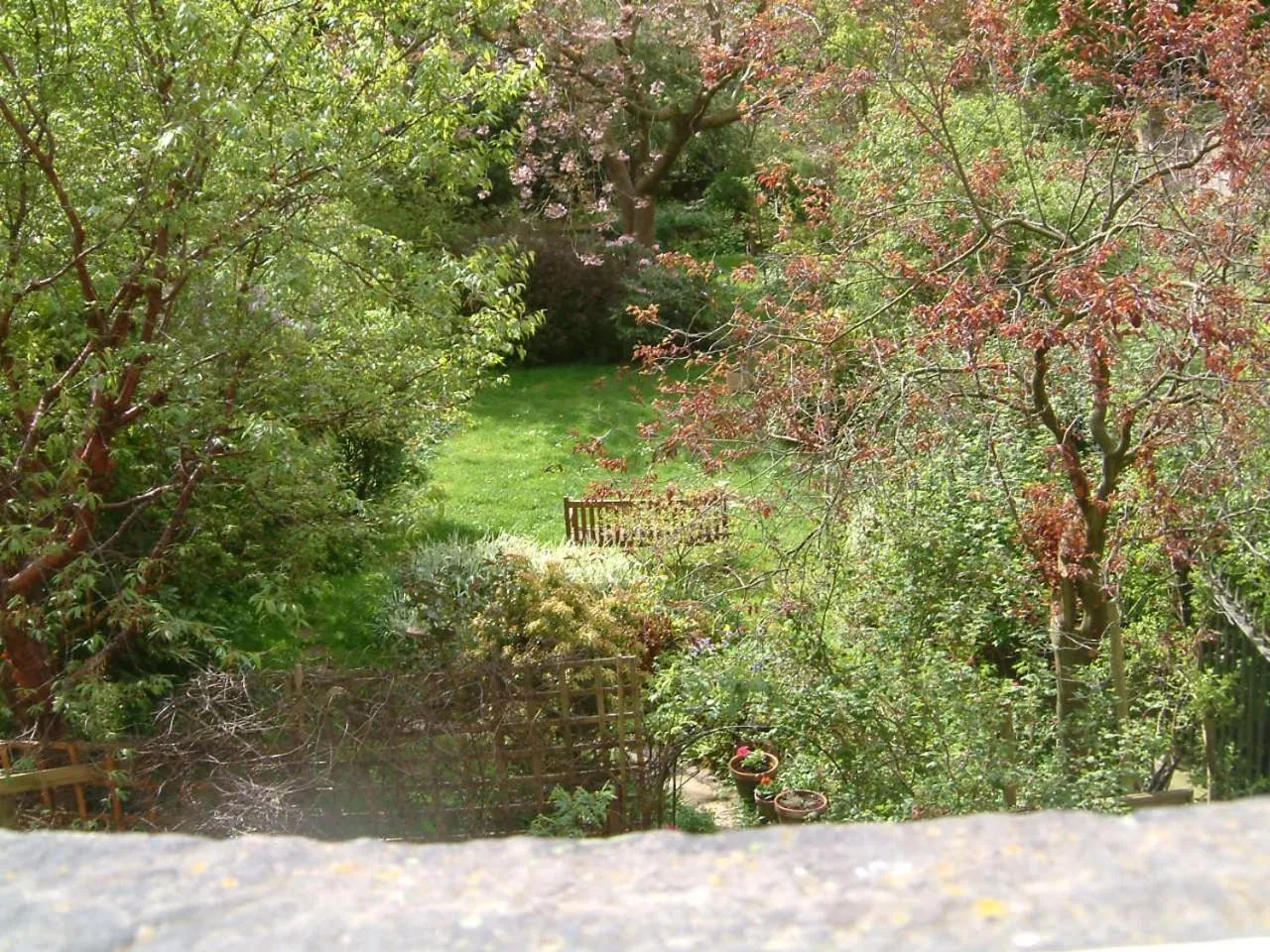 Garden in Terrace hotel