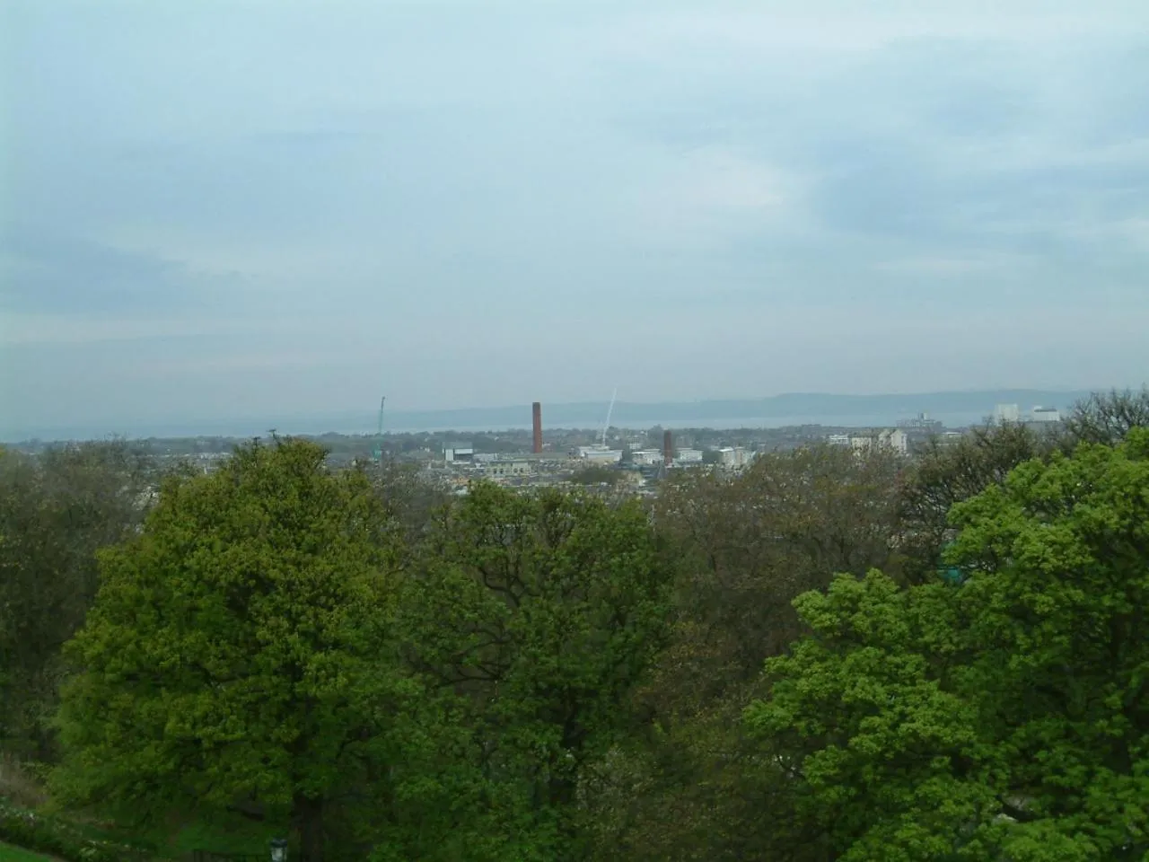 Natural landscape in Terrace hotel