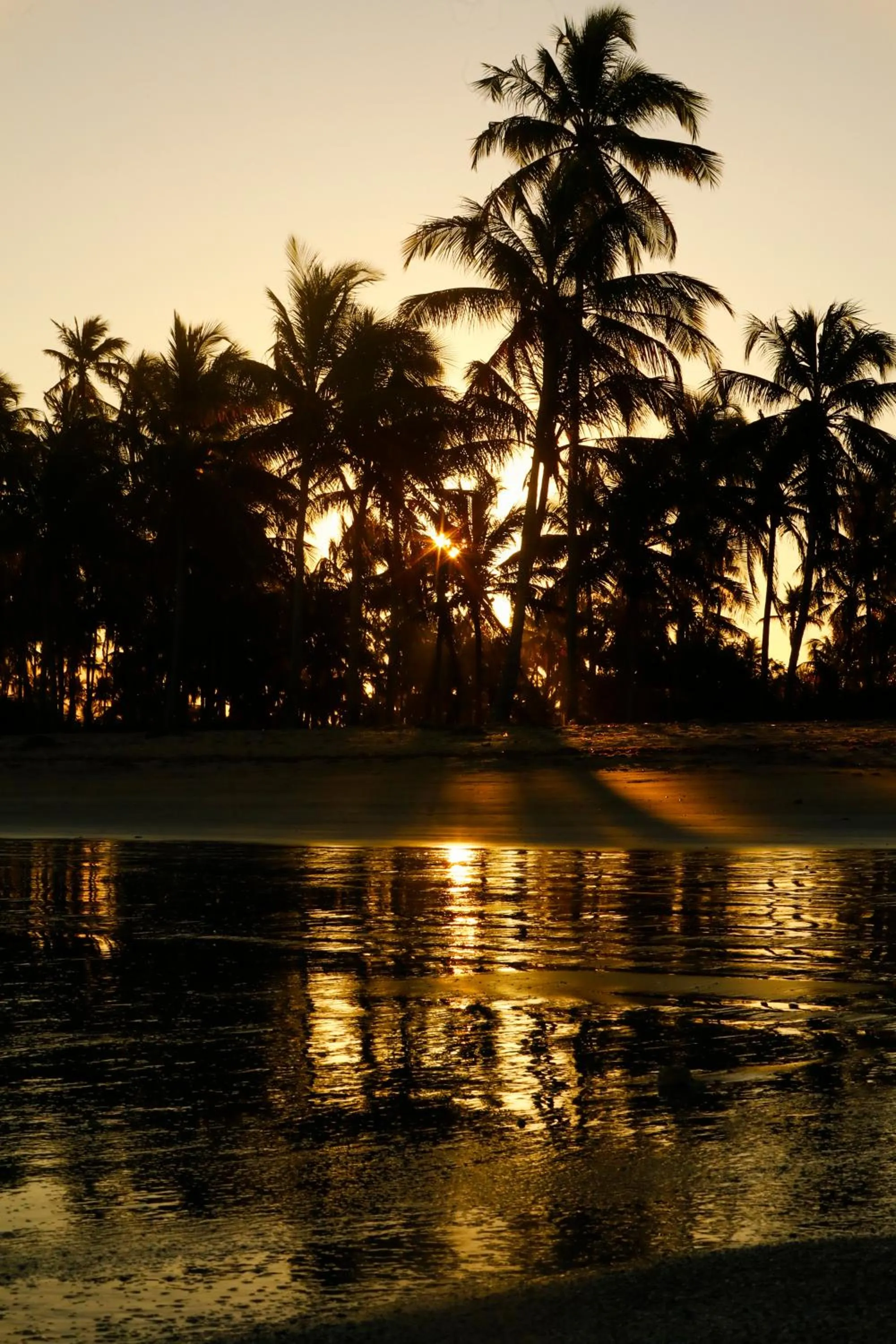 Natural landscape in Pousada Rota Ecológica