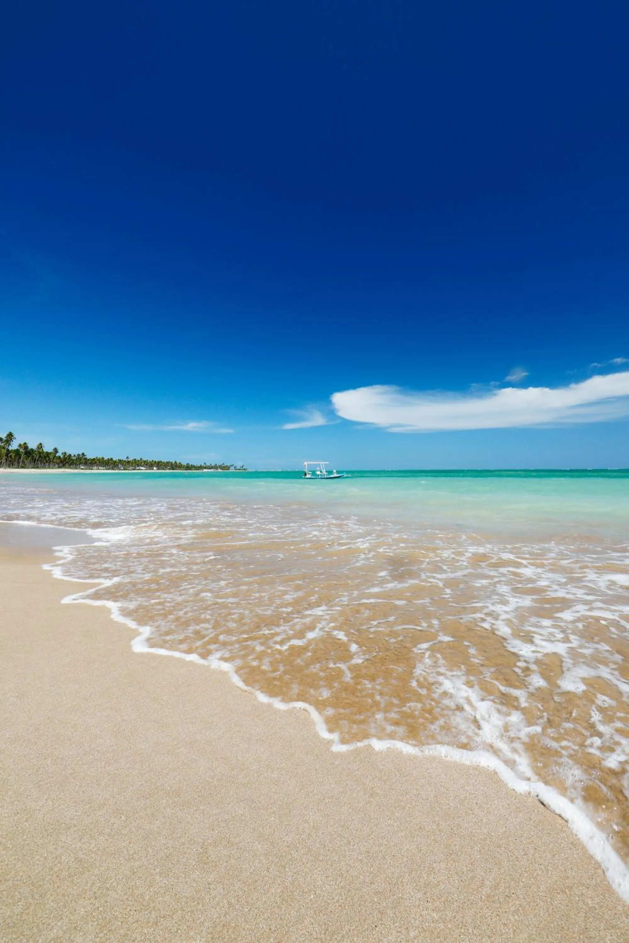 Beach in Pousada Rota Ecológica