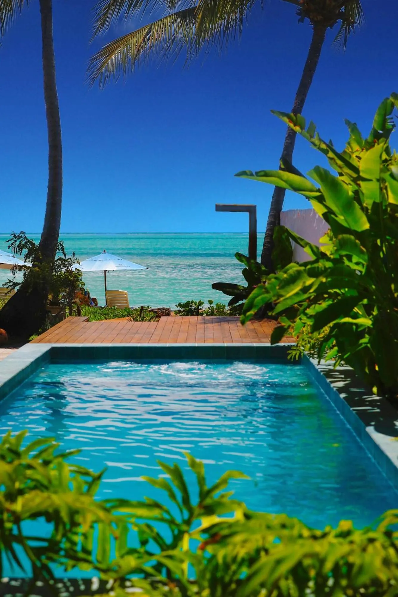 Pousada Rota Ecológica