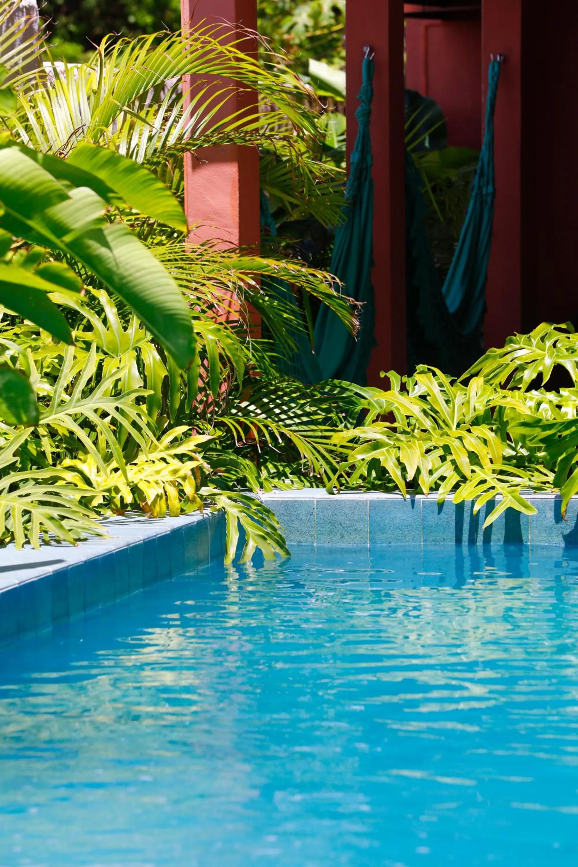 Garden view in Pousada Rota Ecológica