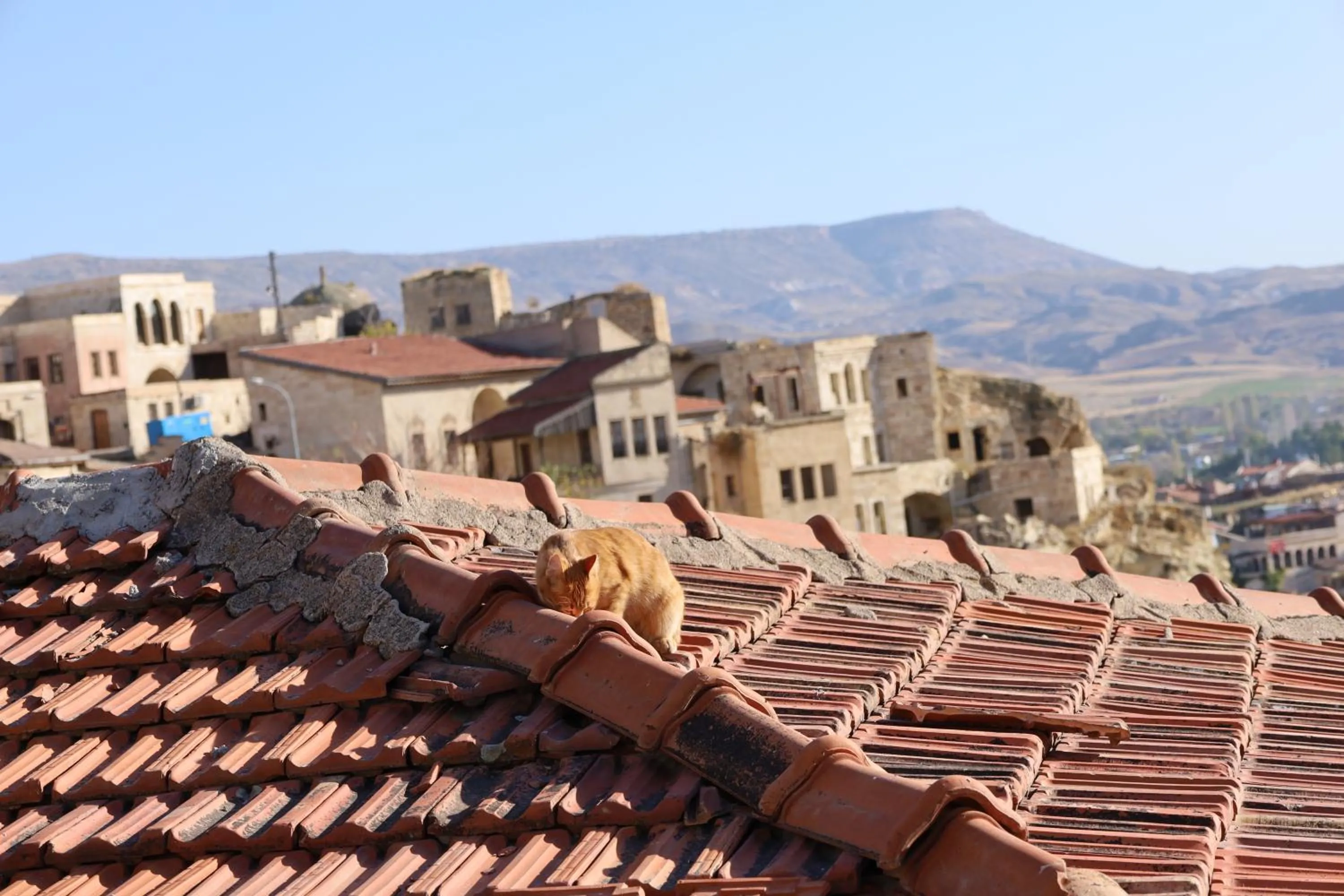 Mountain view in Born Hotel
