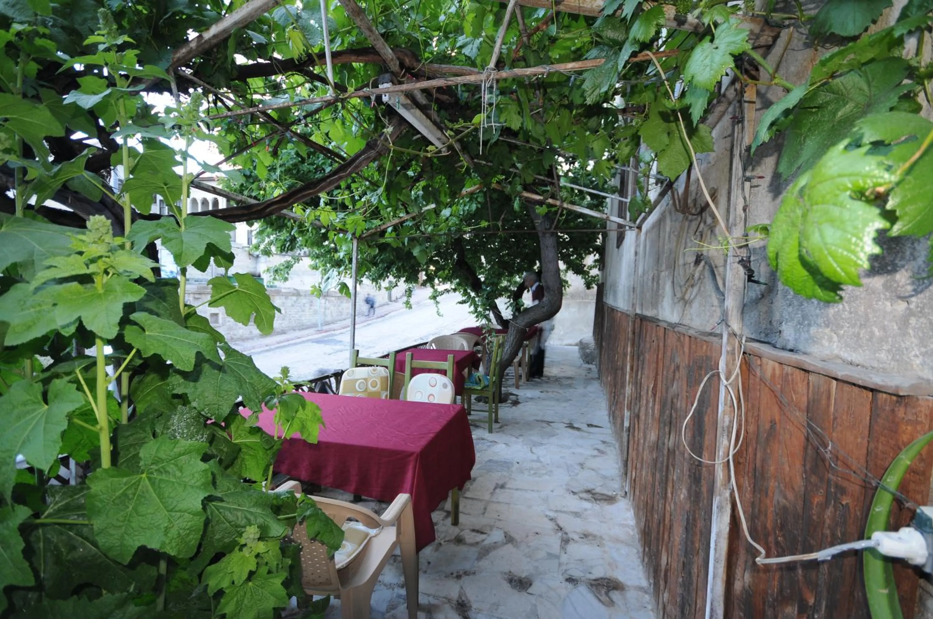 Garden in Born Hotel