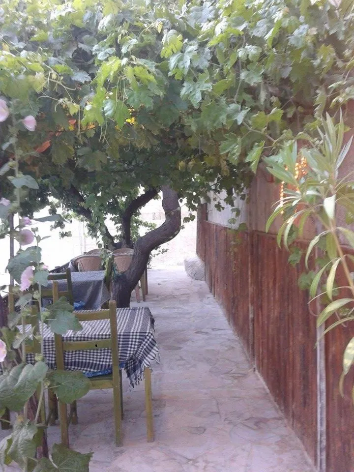 Spring in Born Hotel