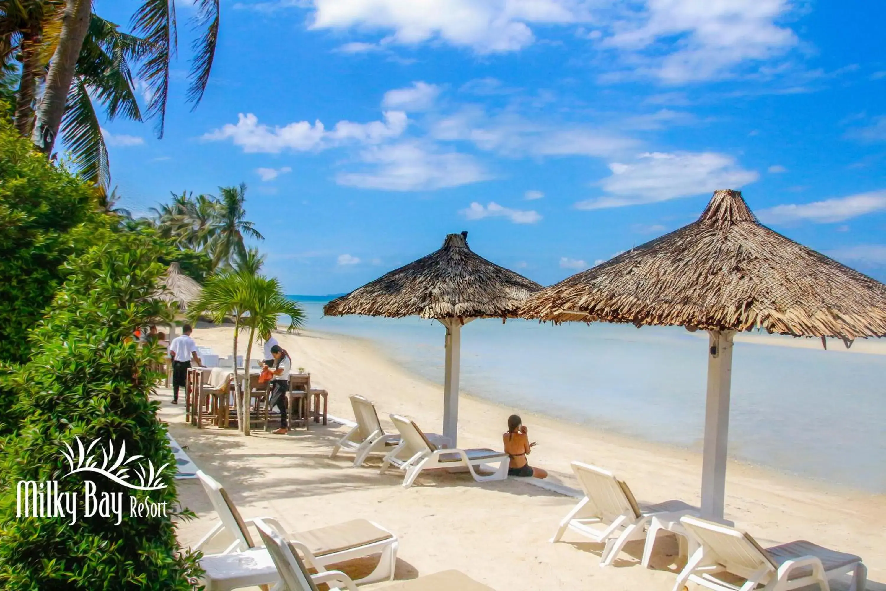 Restaurant/places to eat in Milky Bay Resort Restaurant/places to eat in Milky Bay Resort