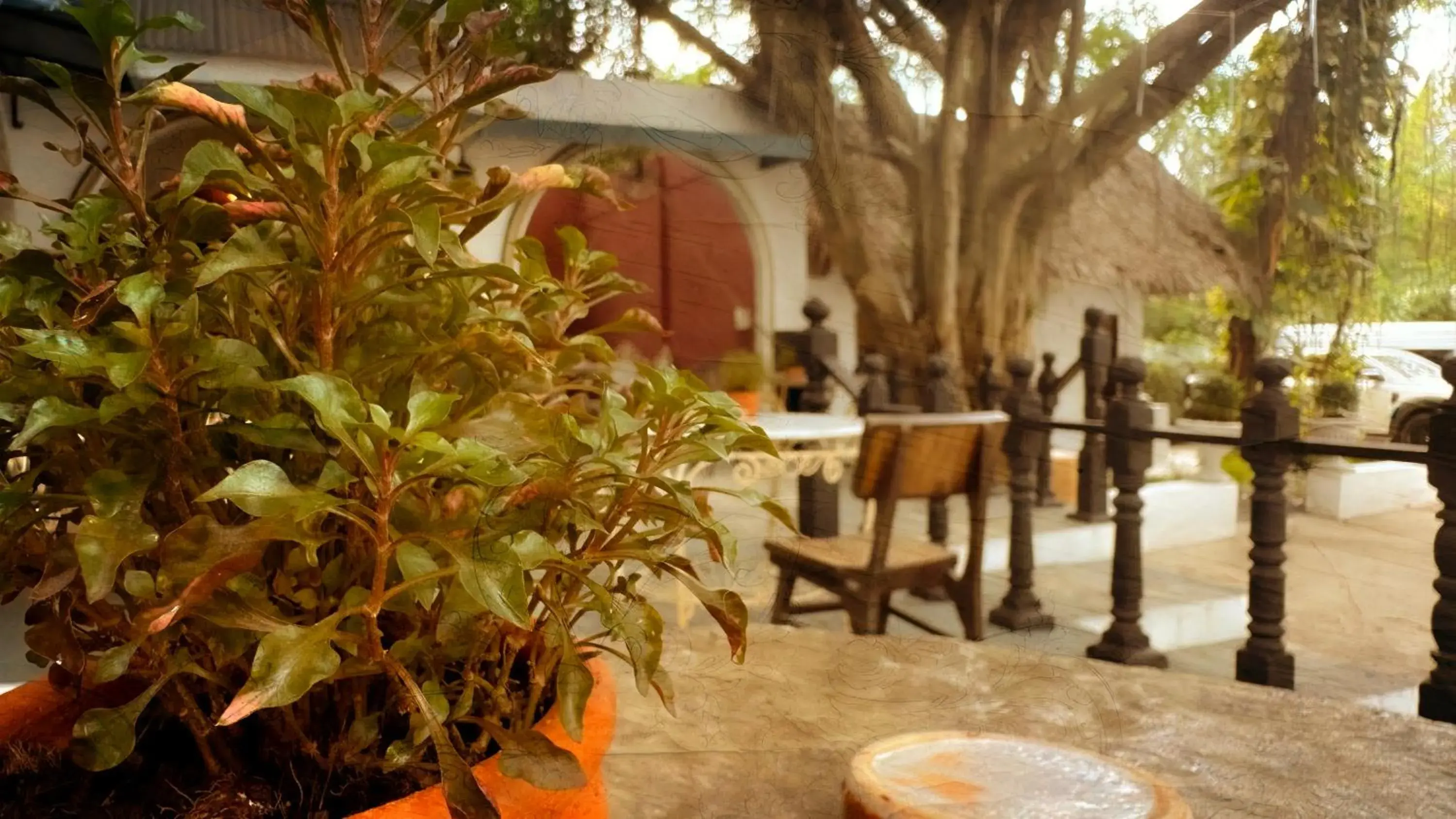 Patio in Milky Bay Resort Patio in Milky Bay Resort