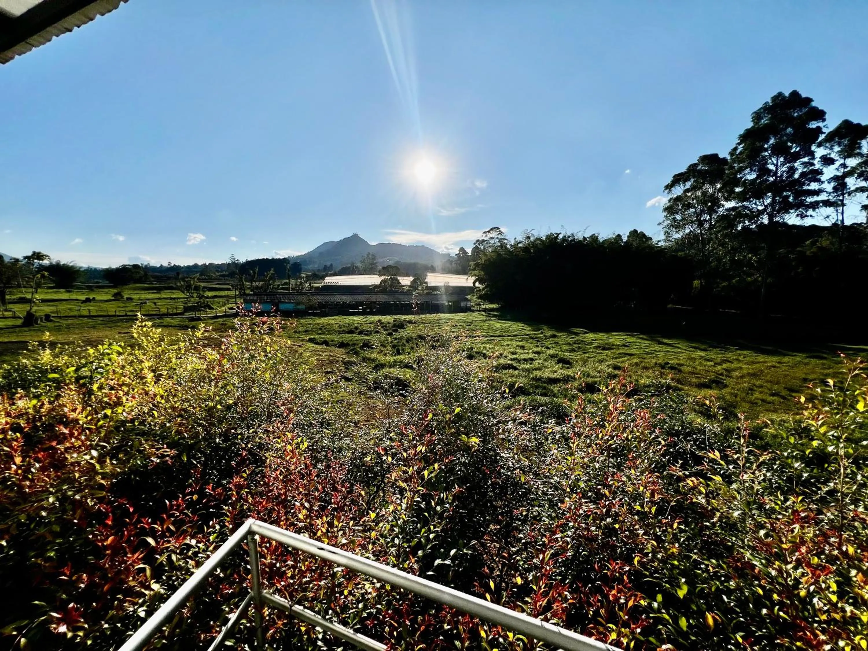 Natural landscape in Hotel Toscana Oriente