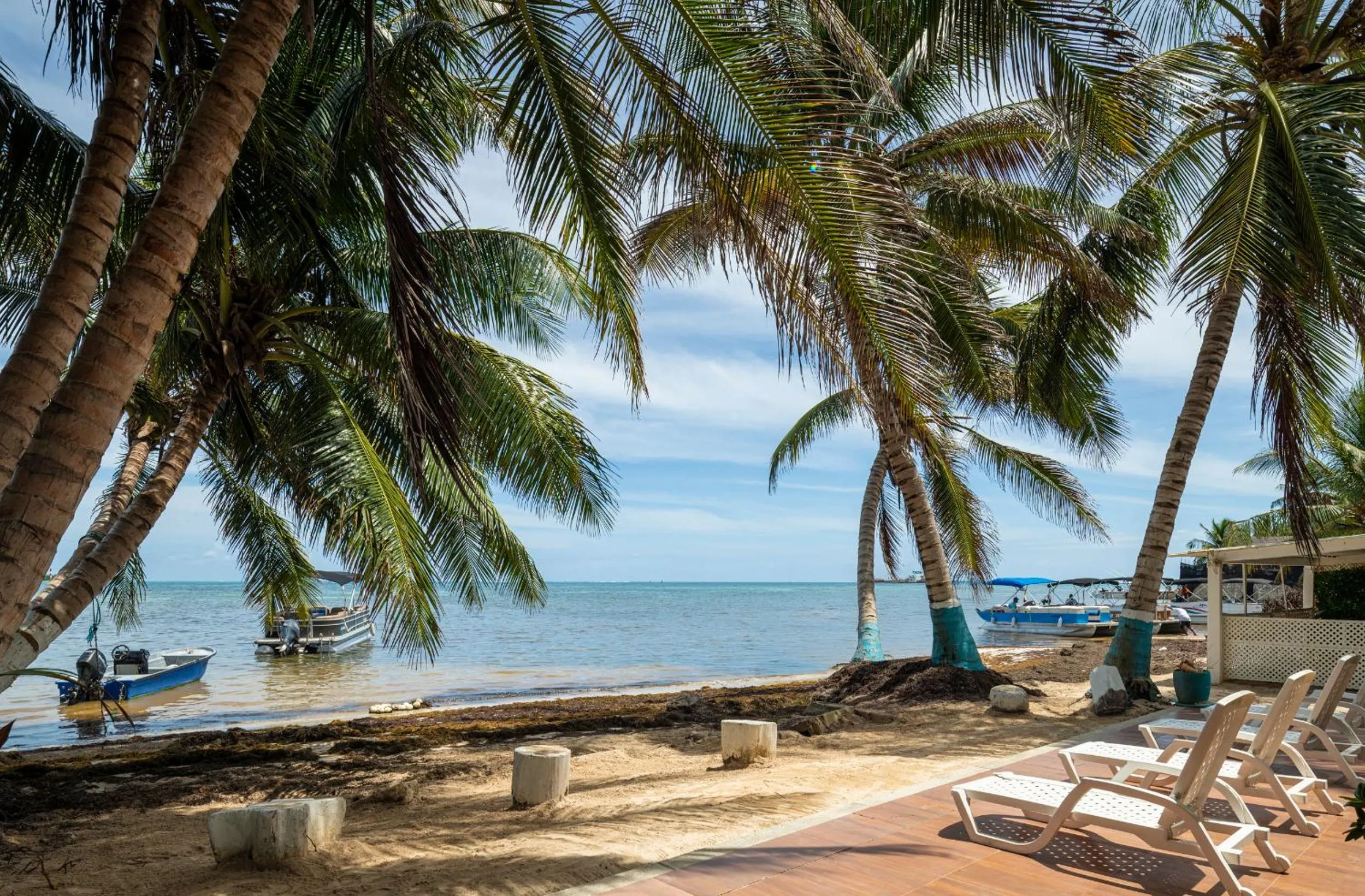 Sea view in Hotel San Luis Place By Dorado