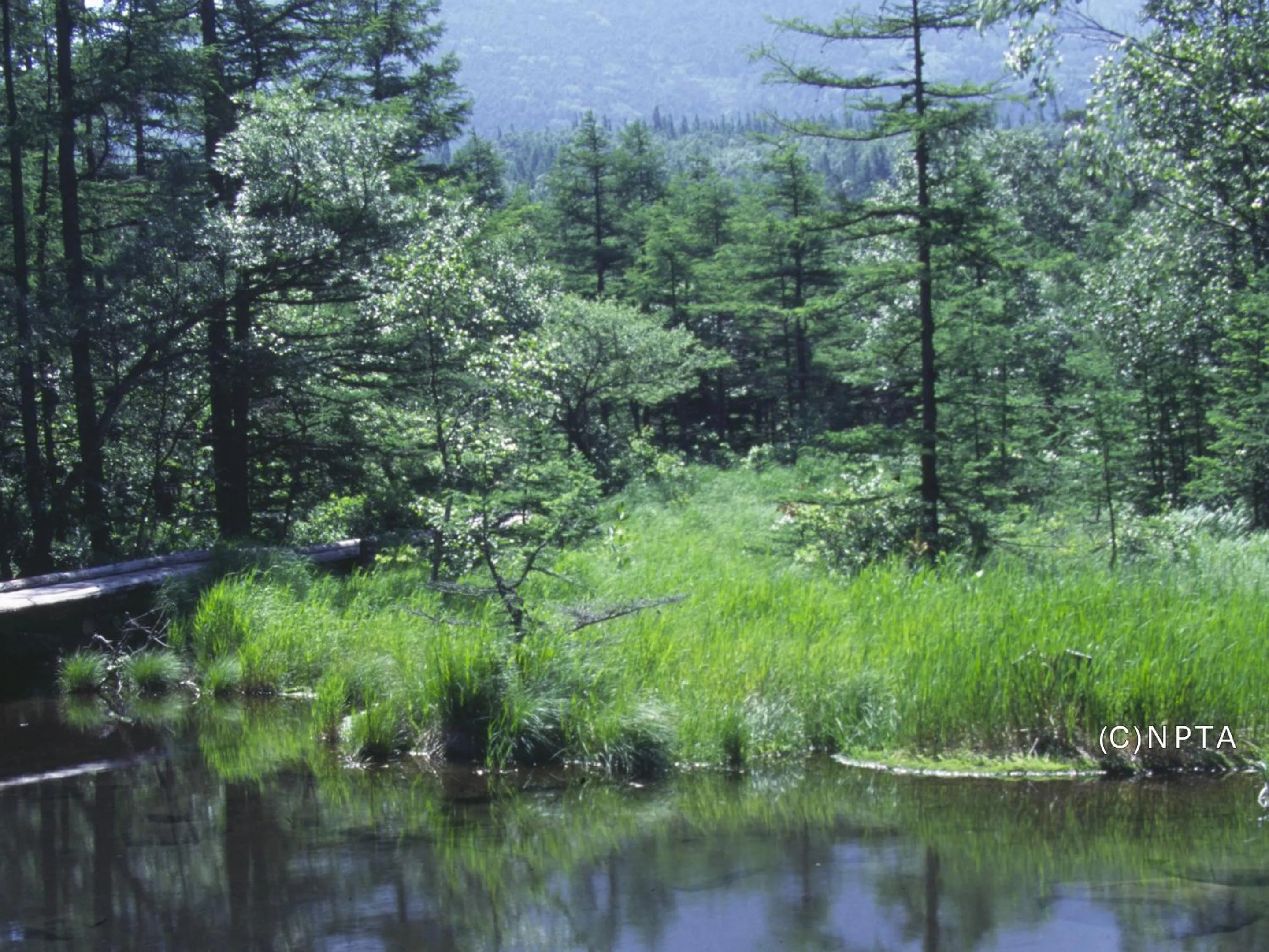 Nearby landmark in Le Grand Kyu Karuizawa