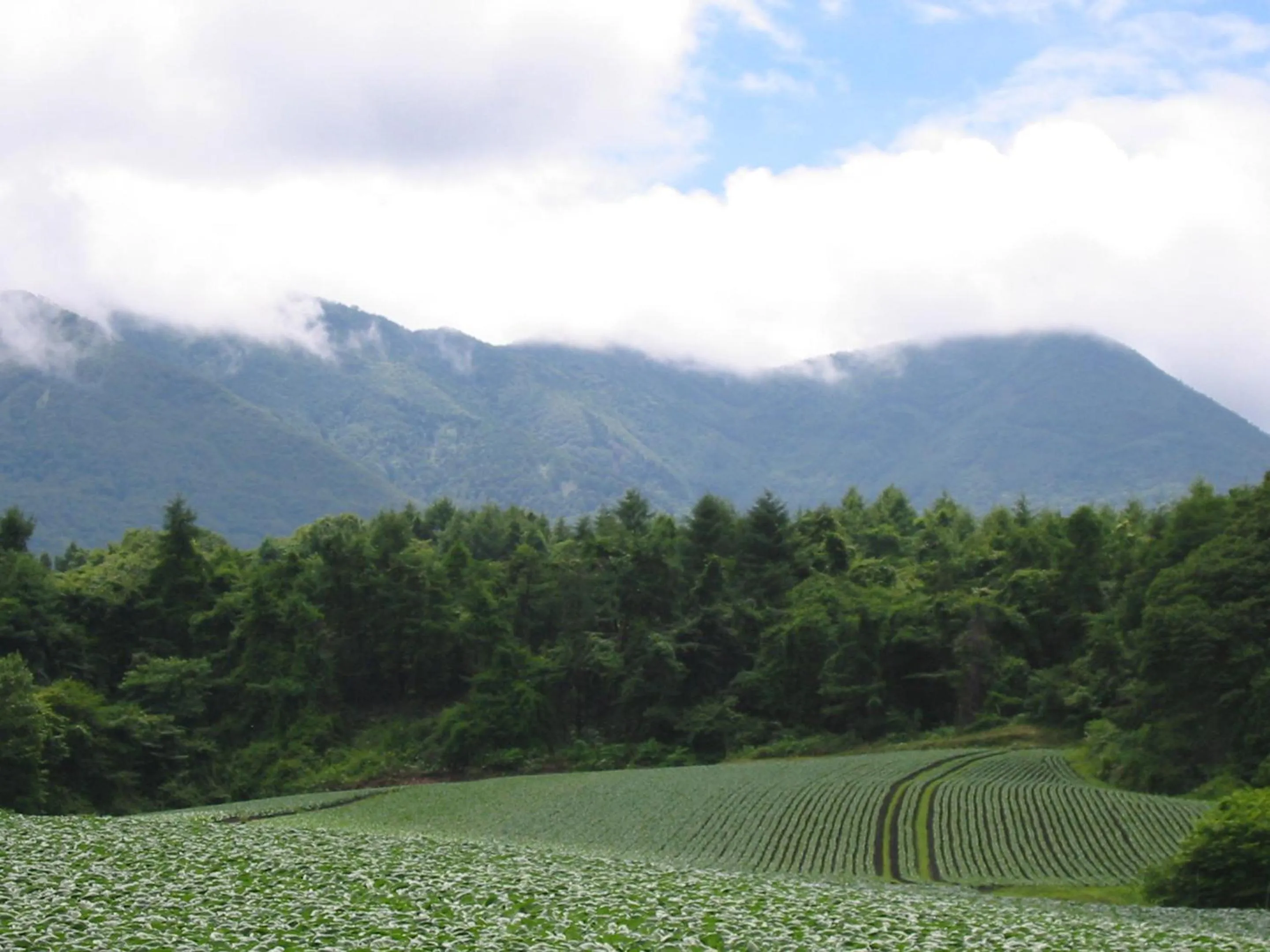 Nearby landmark in Le Grand Kyu Karuizawa