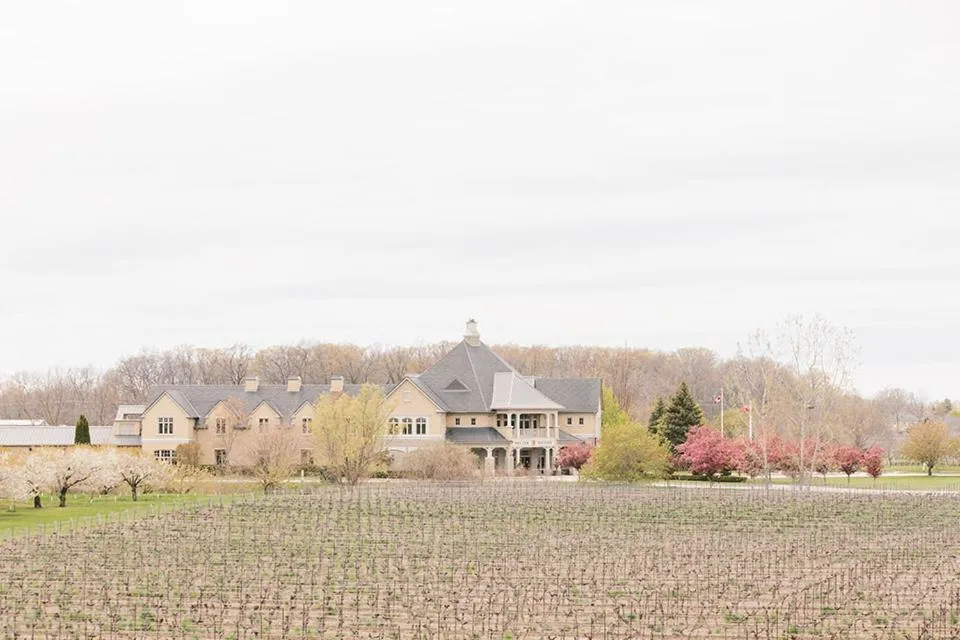 View (from property/room) in Riverbend Inn & Vineyard