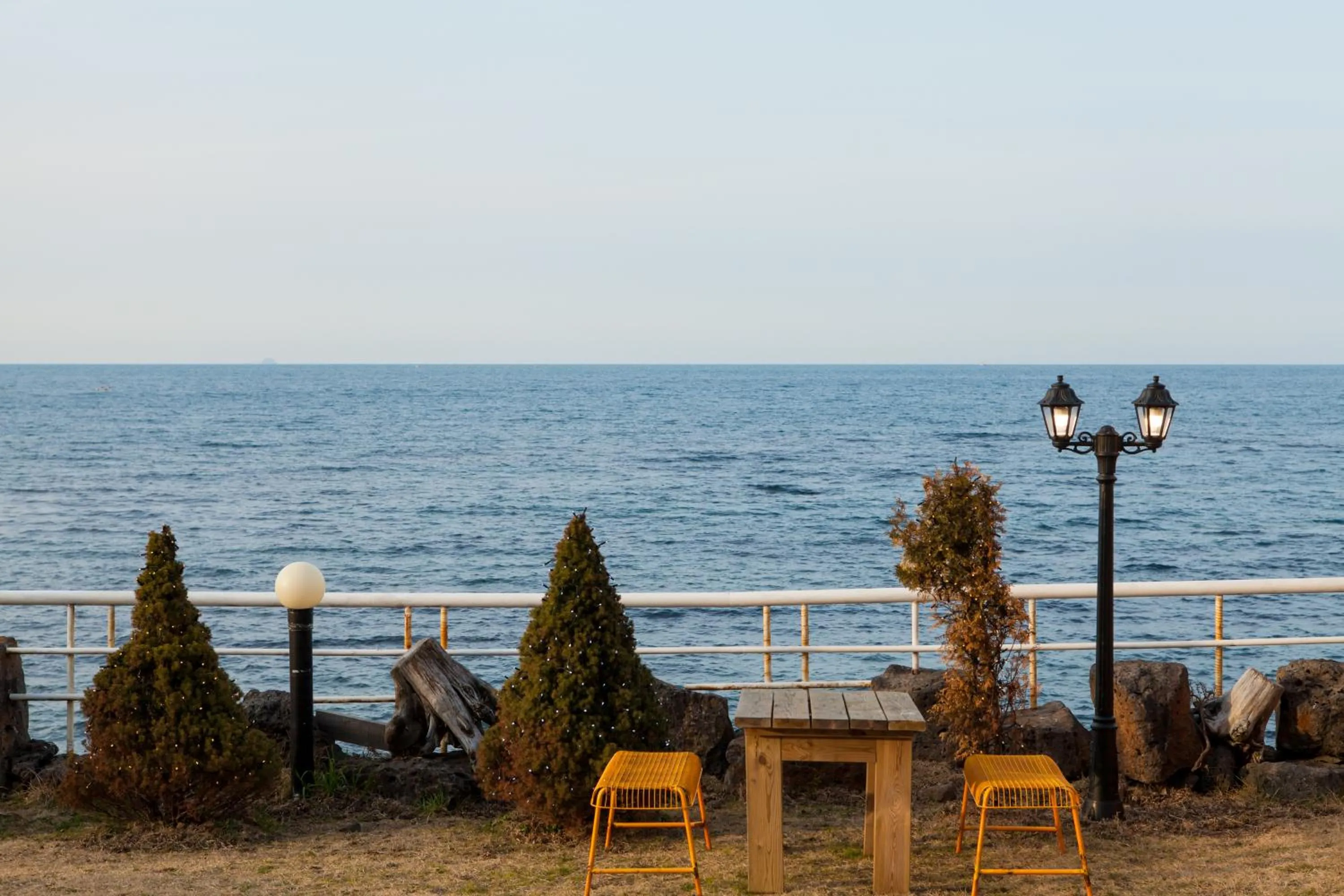 Garden view in Fantastic Ocean View Sydney Hotel