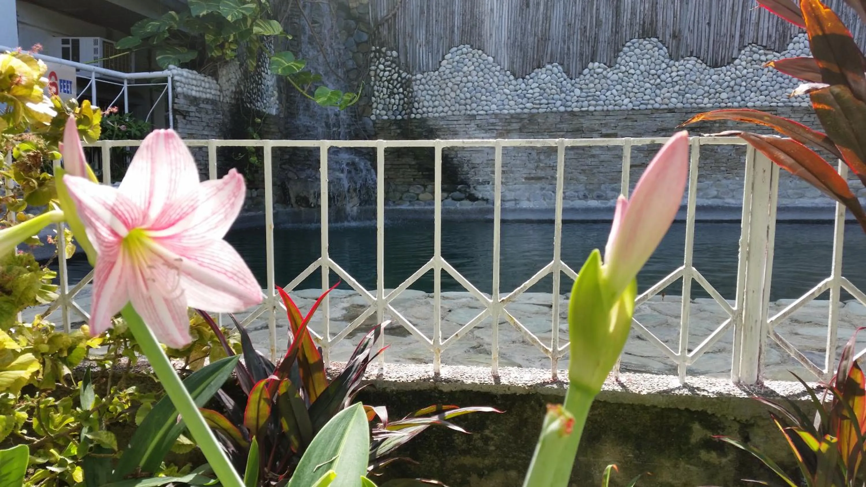Swimming pool in Simons Heritage Resort Puerto Galera