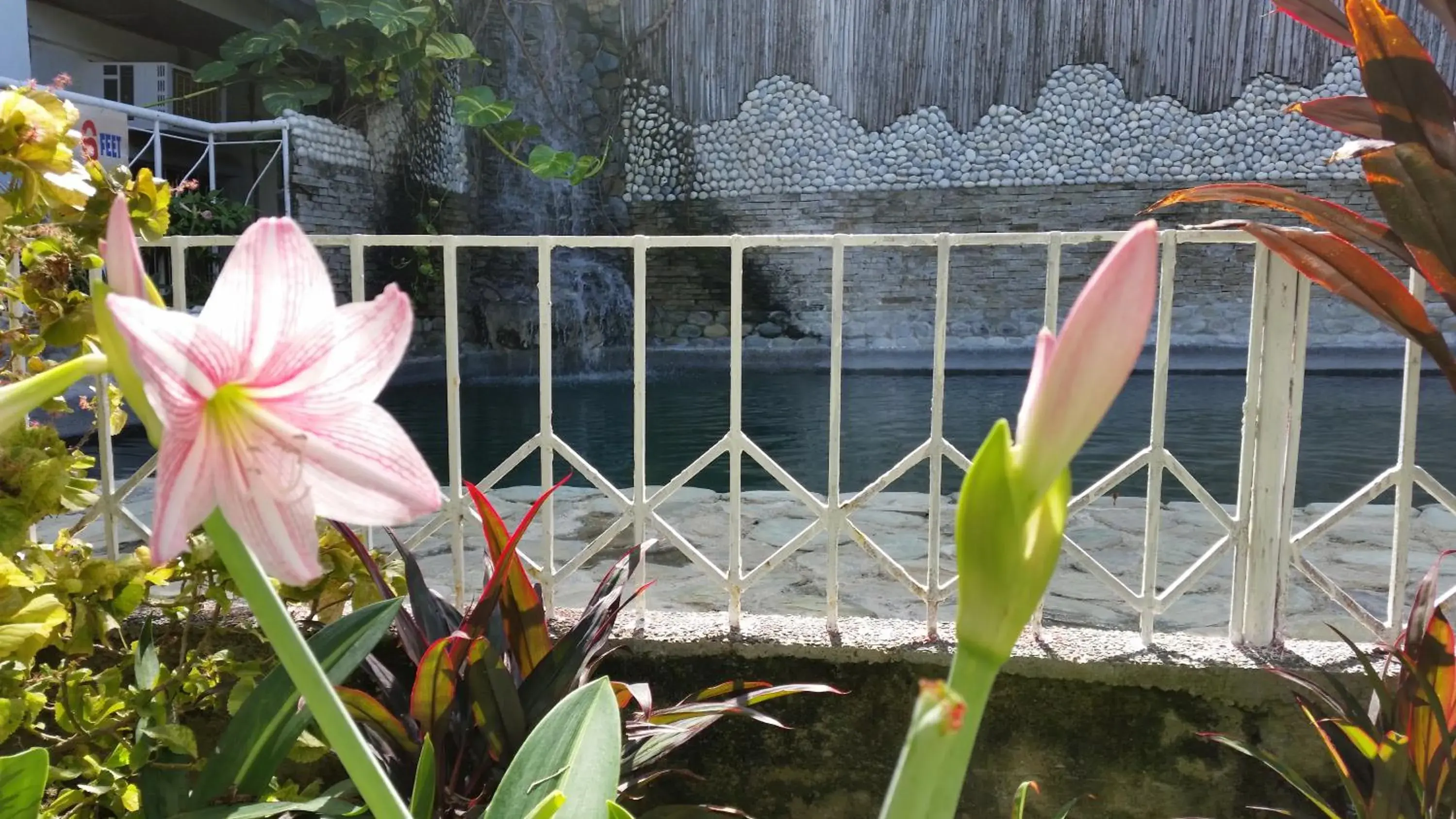 Swimming pool in Simons Heritage Resort Puerto Galera Swimming pool in Simons Heritage Resort Puerto Galera