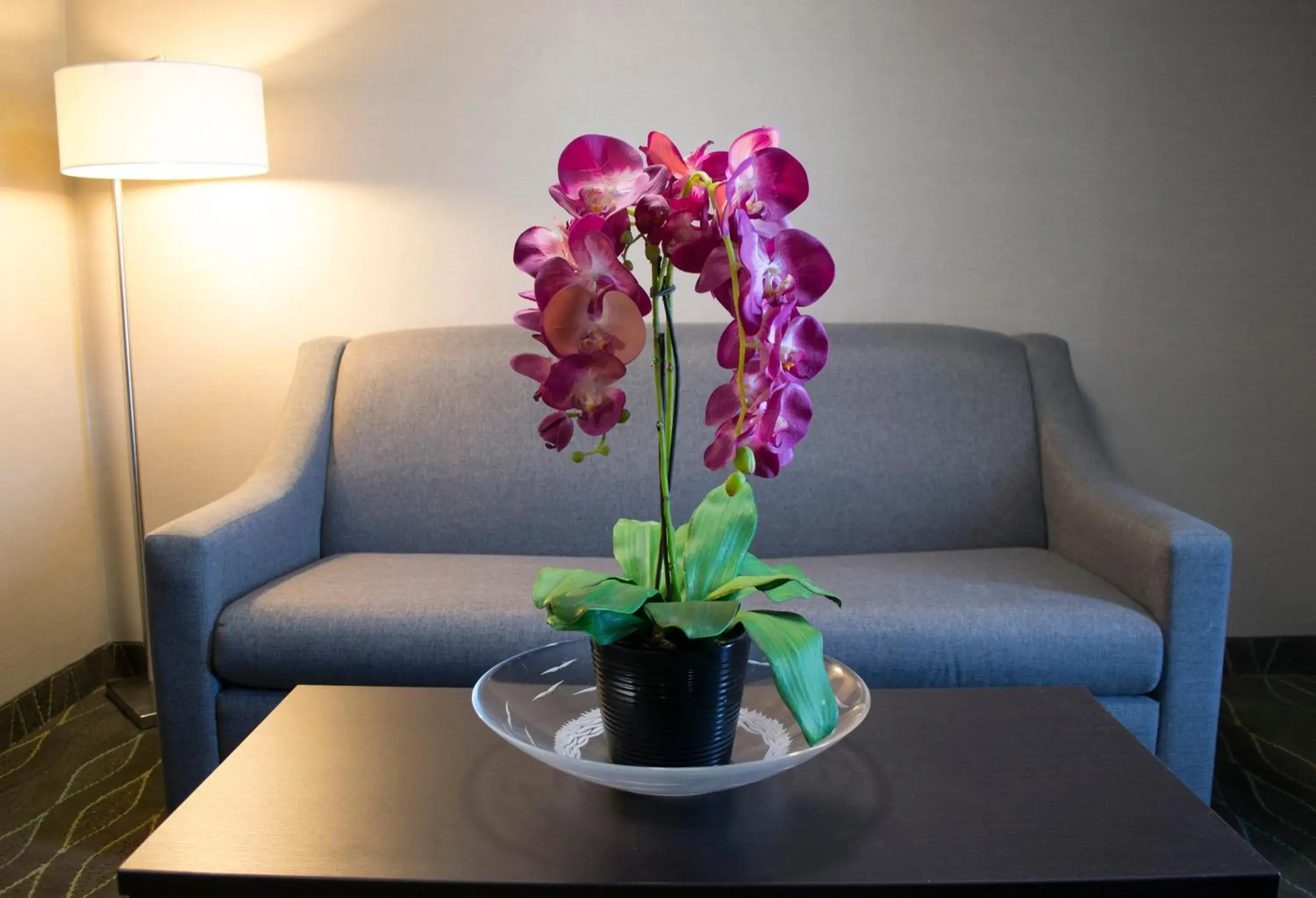 Photo of the whole room in Holiday Inn Sudbury by IHG Photo of the whole room in Holiday Inn Sudbury by IHG