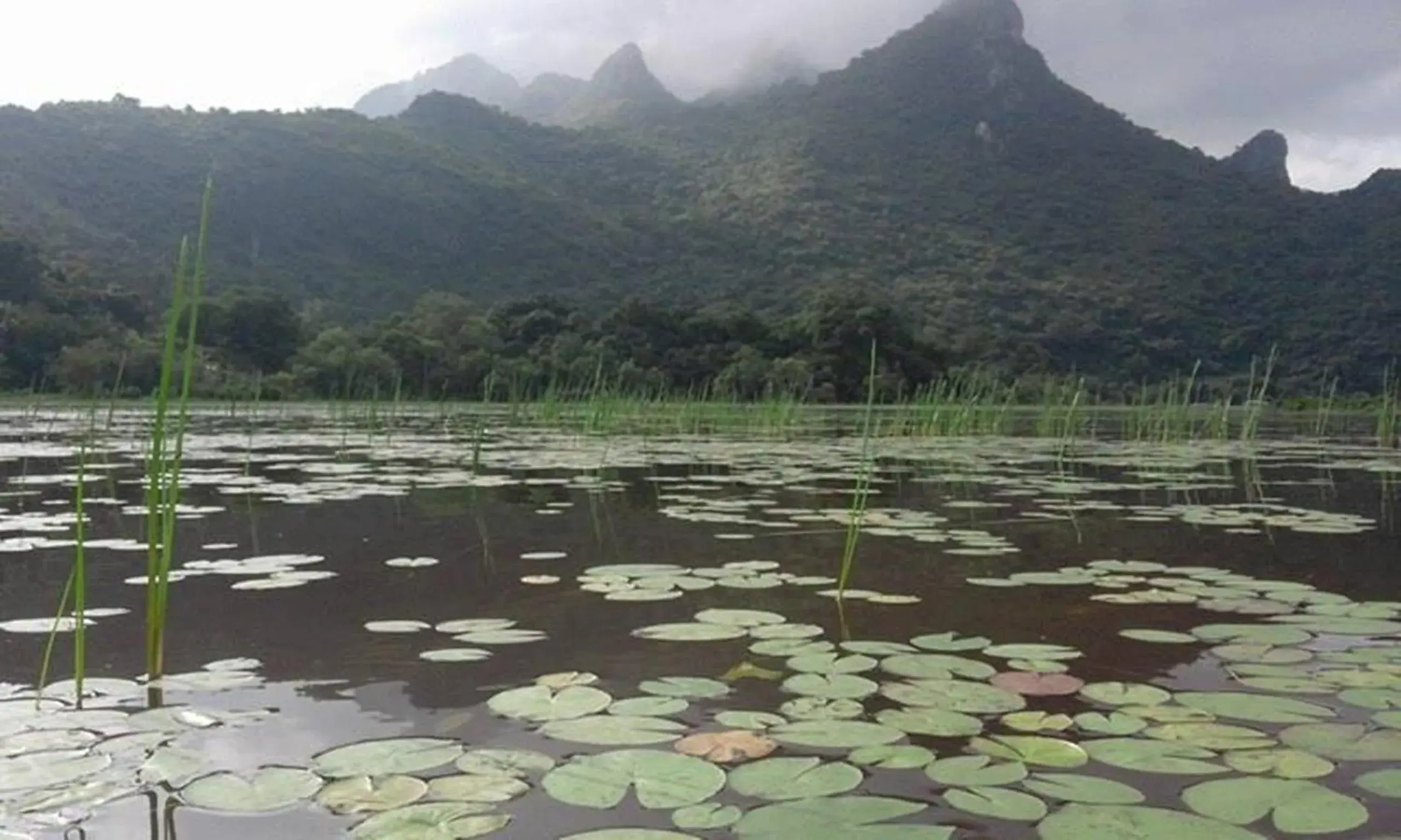 Property building in Lungcha Homestay Property building in Lungcha Homestay