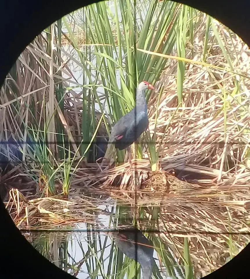 Restaurant/places to eat in Lungcha Homestay Restaurant/places to eat in Lungcha Homestay