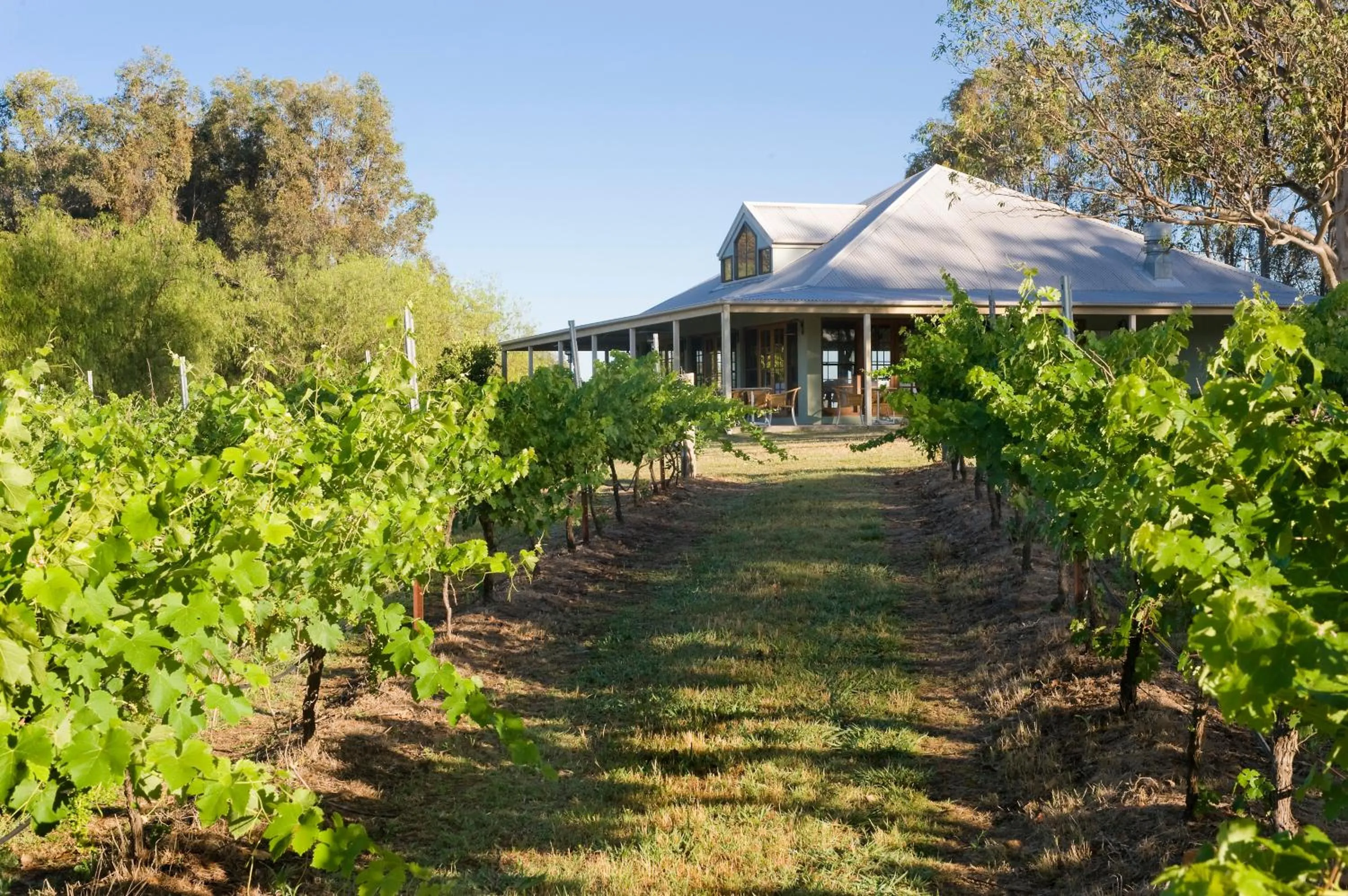 Facade/entrance in Spicers Vineyards Estate