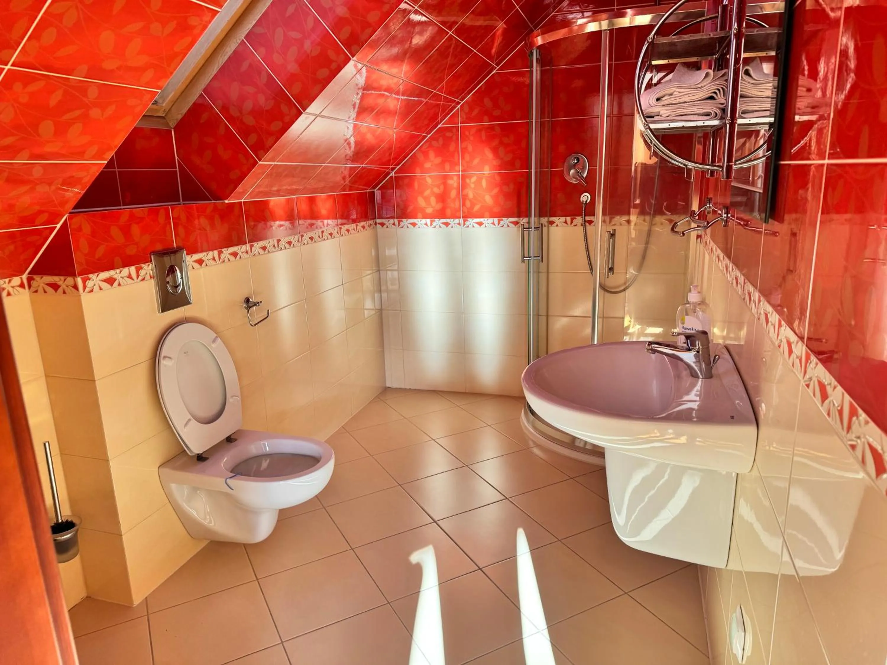 Shower in Willa Leśna Polana