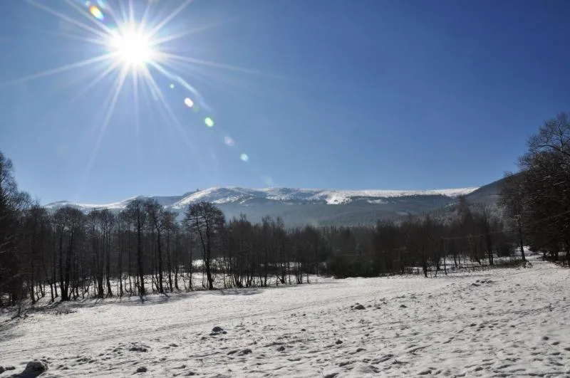 Natural landscape in Willa Leśna Polana