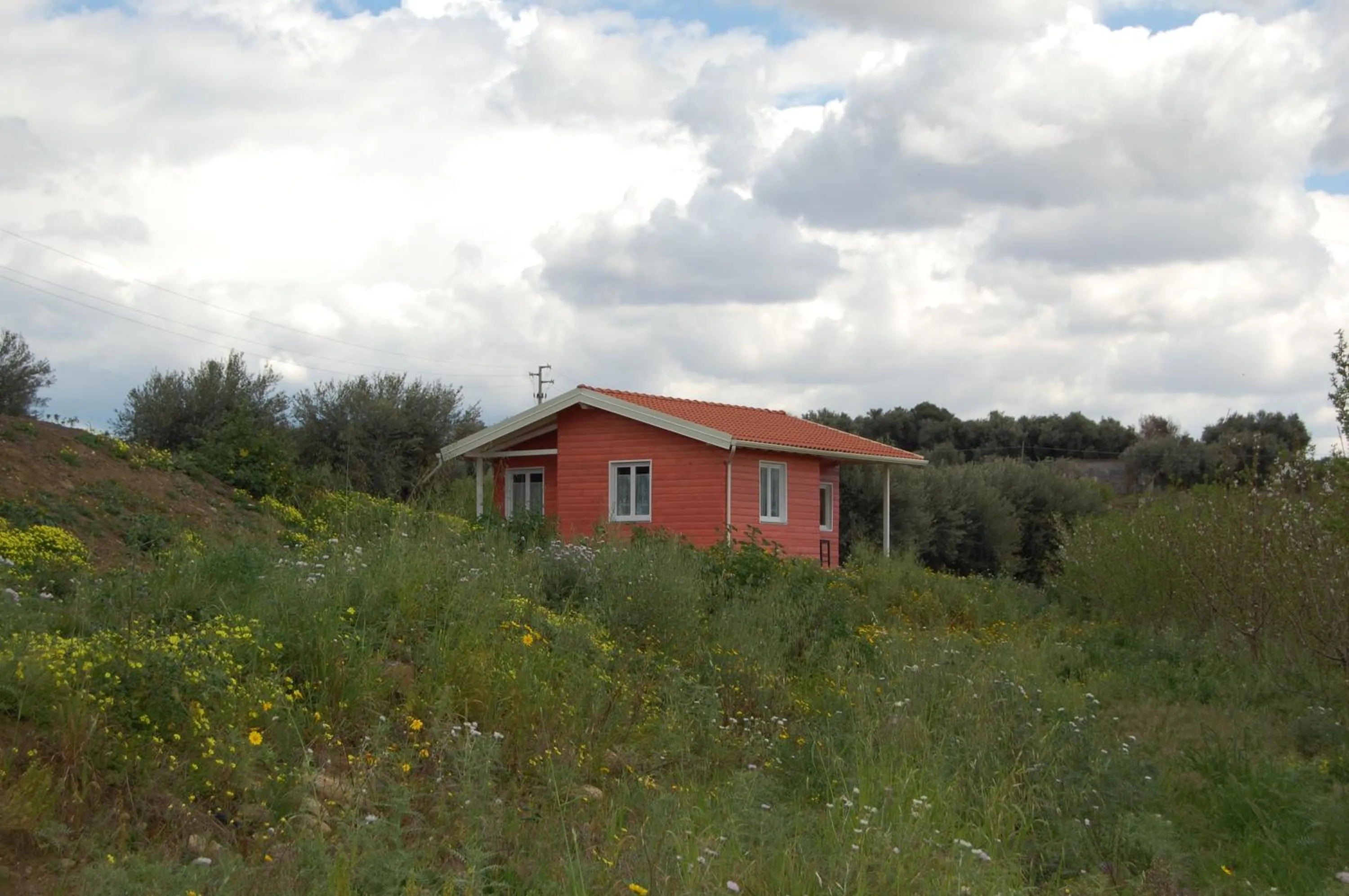 Property building in Mandorleo