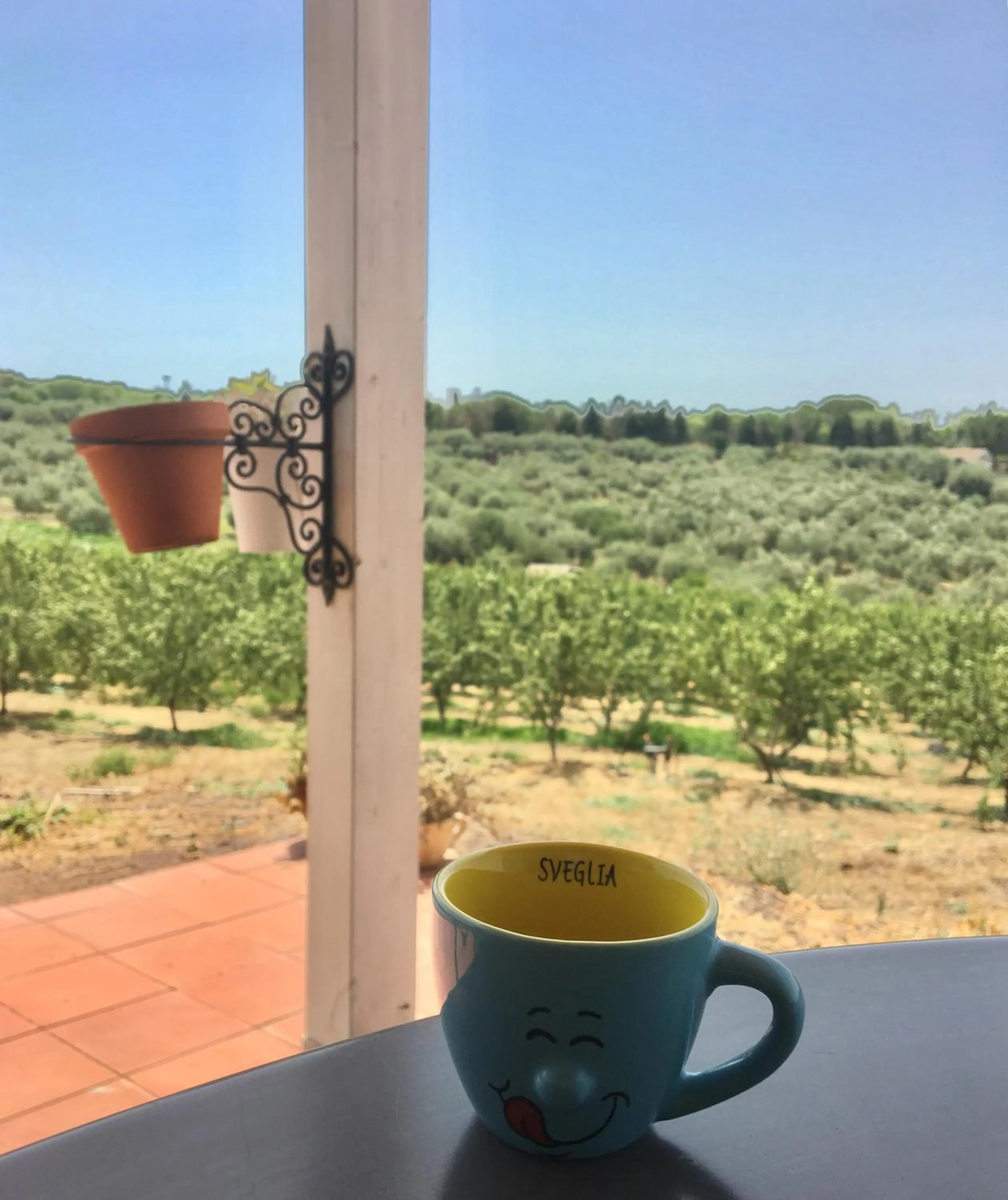 View (from property/room) in Mandorleo