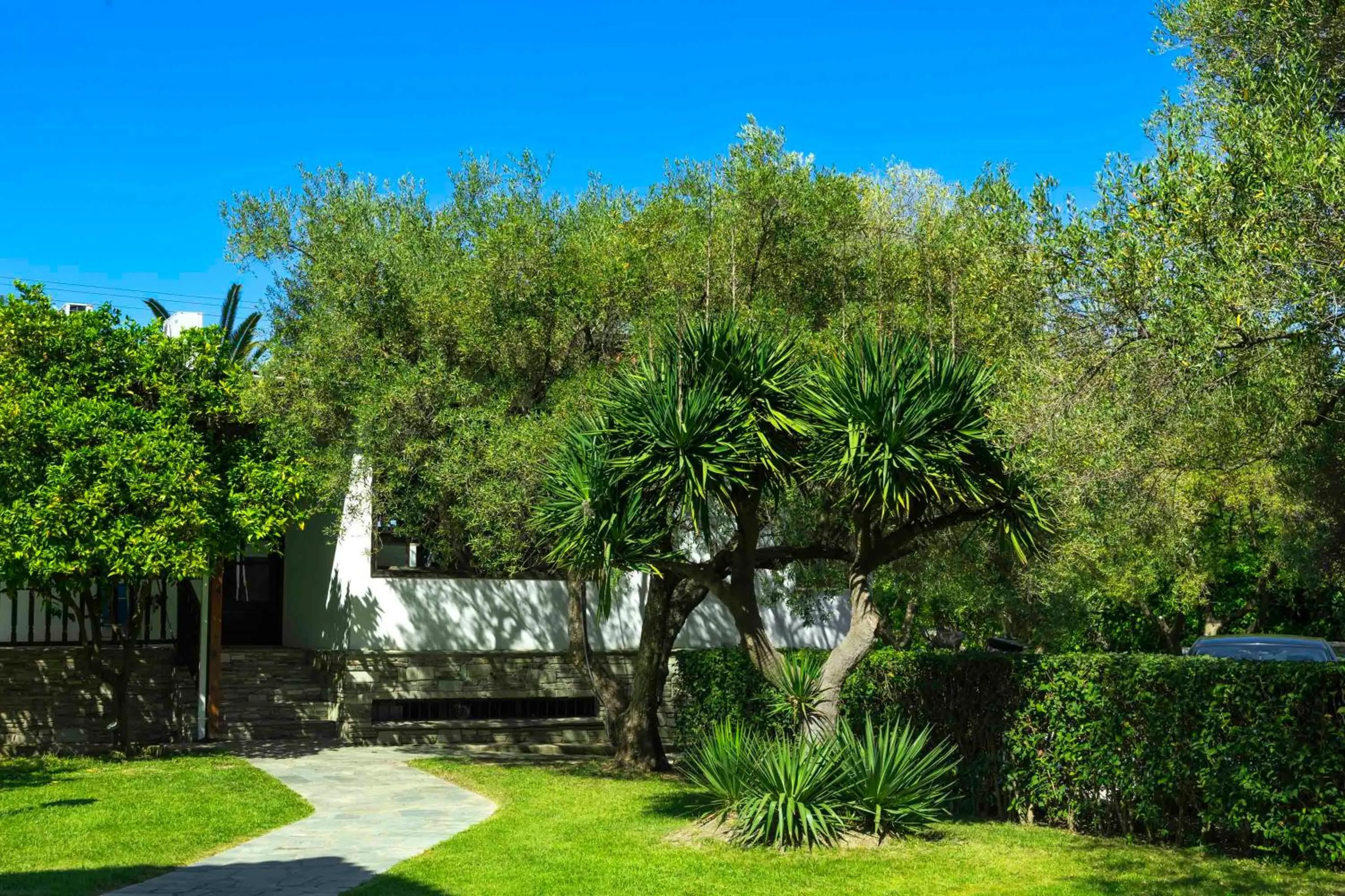 Garden in Hotel Hanioti Village Spa