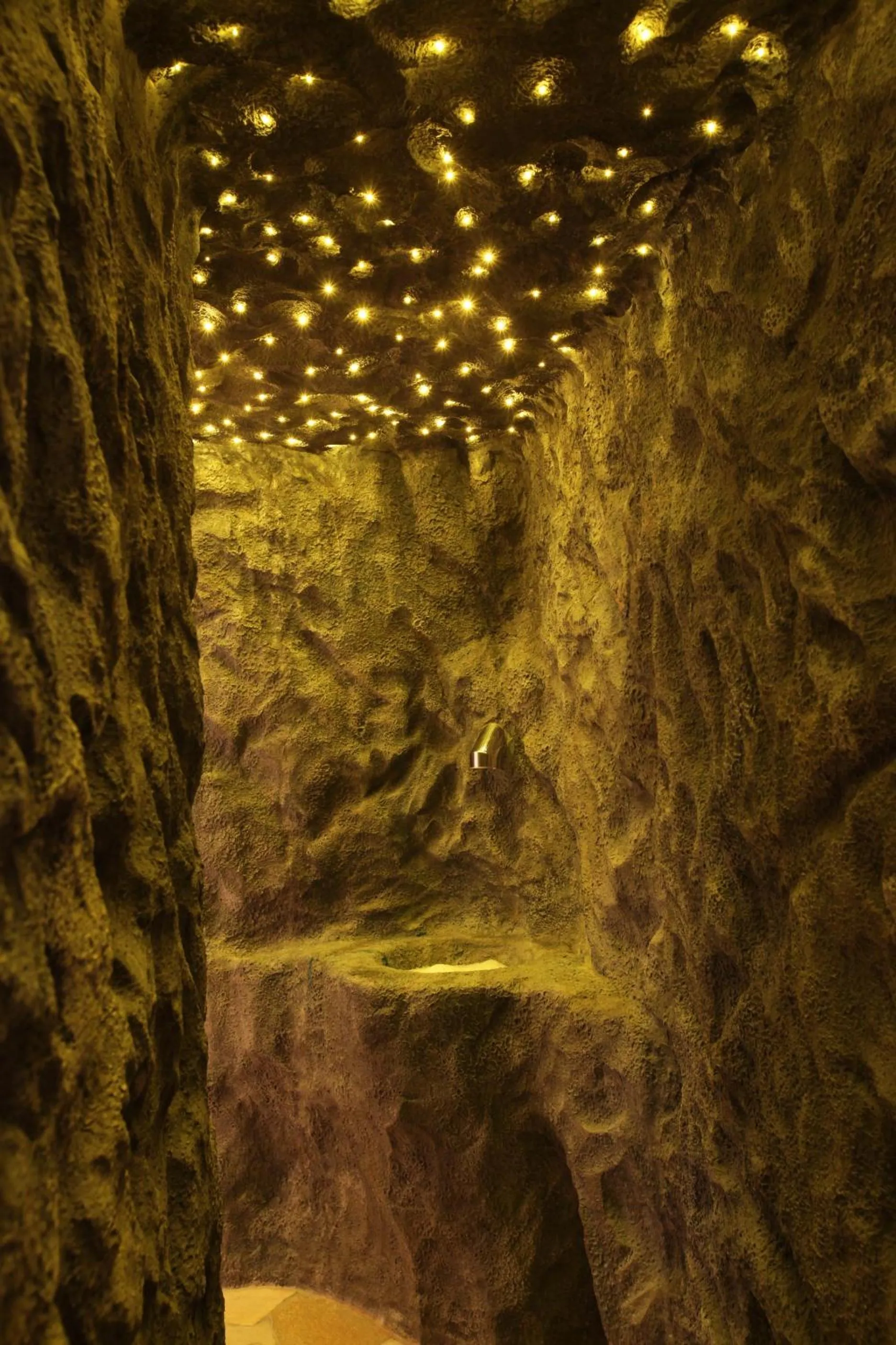 Spa and wellness centre/facilities in Hotel Meeting