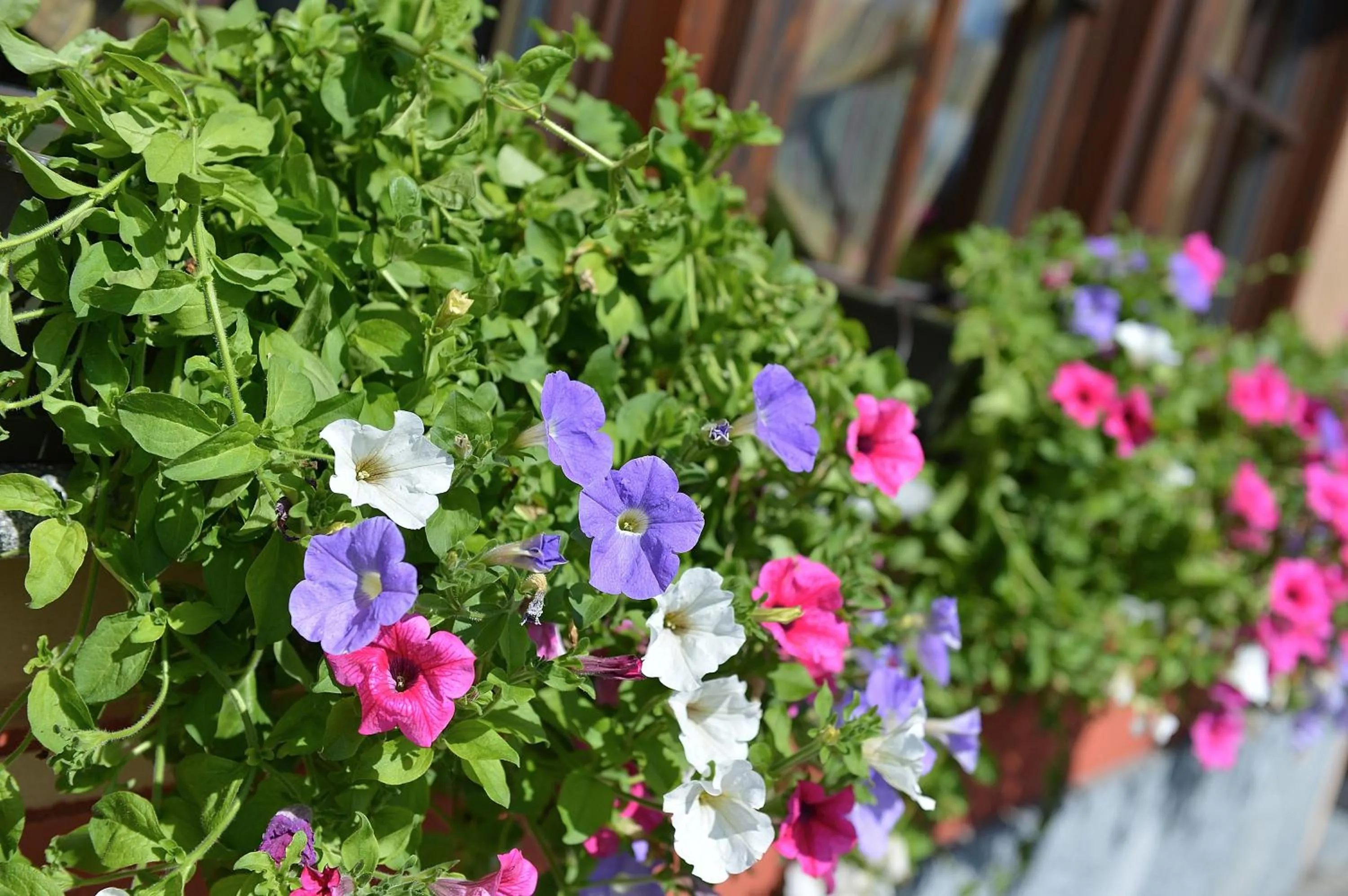 Decorative detail in Hotel Meeting